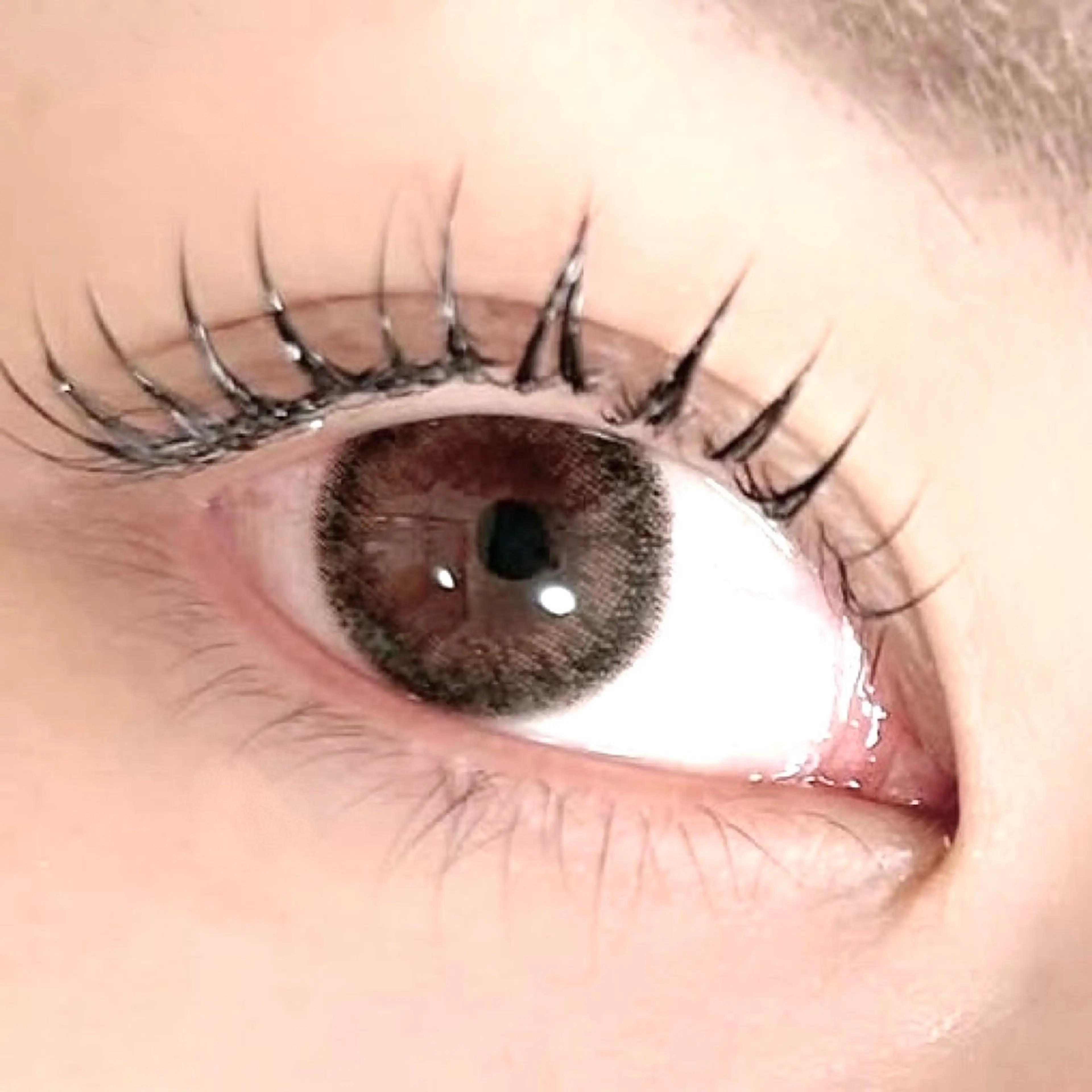 マツエク・マツパ マツエク eyelash li a kuba🌙のマツエク・マツパデザイン