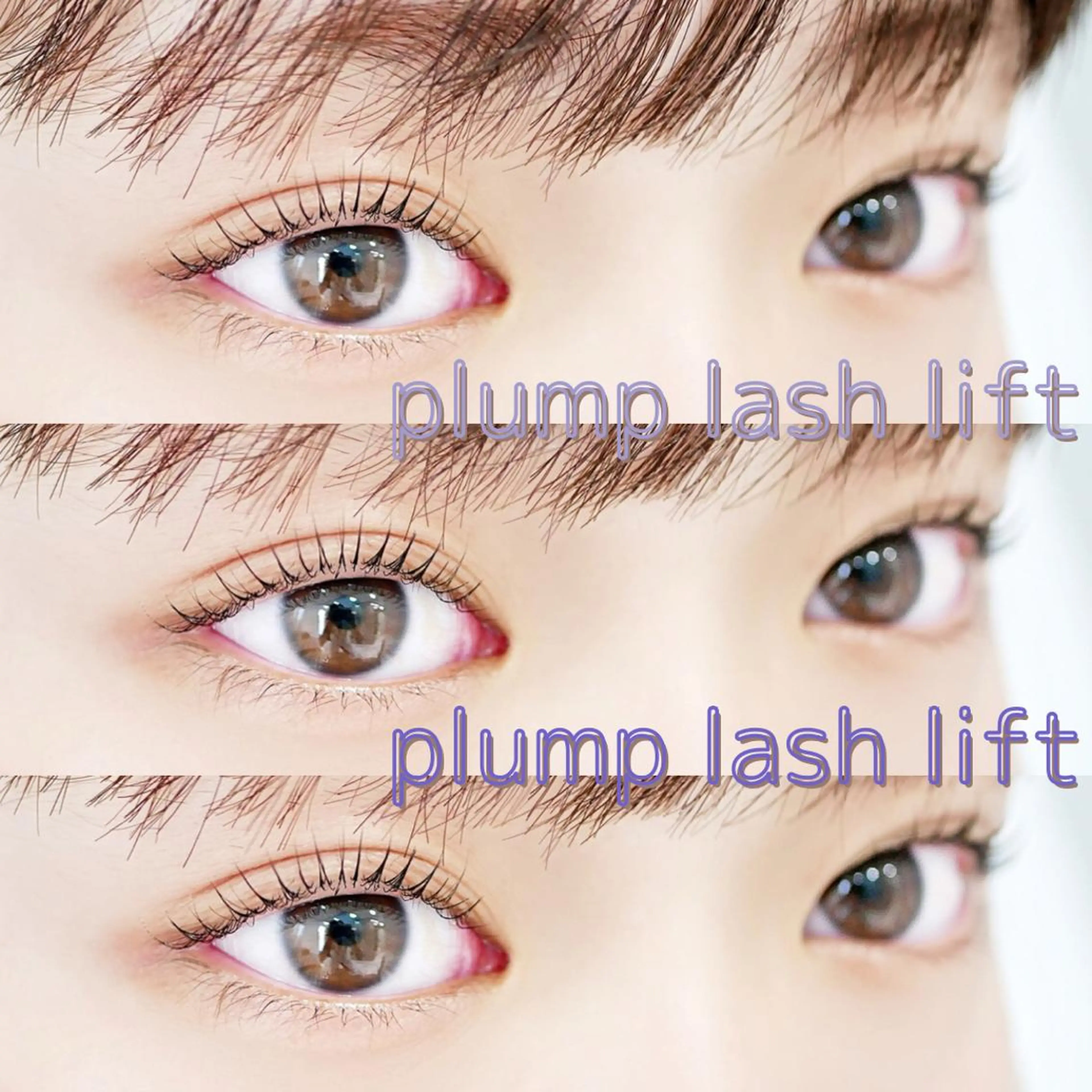 マツエク・マツパ asuka 𖥸 アイブロウ🦊🤎の眉毛・アイブロウイメージ