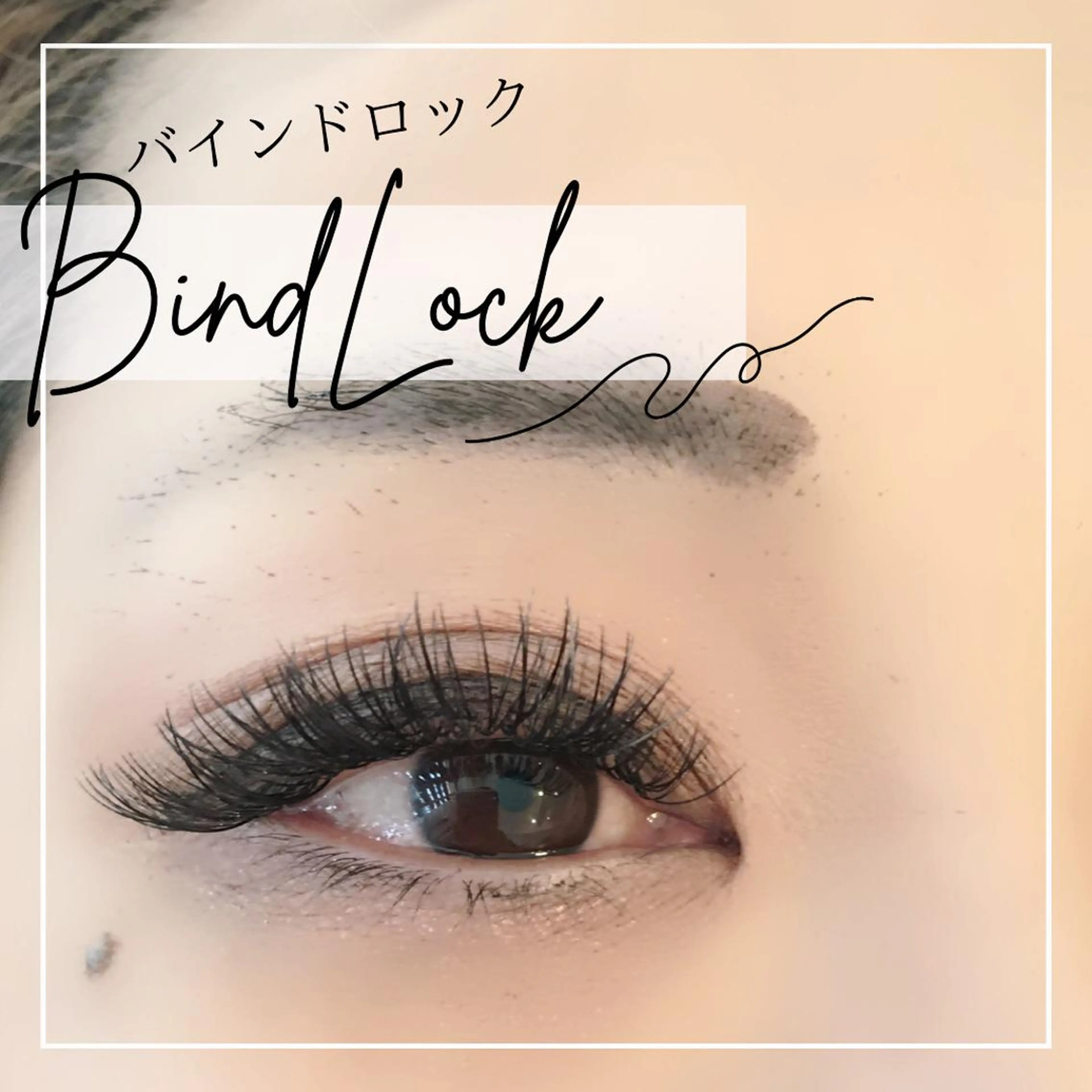 バインドロック 160束 【オフ+1000円】の写真