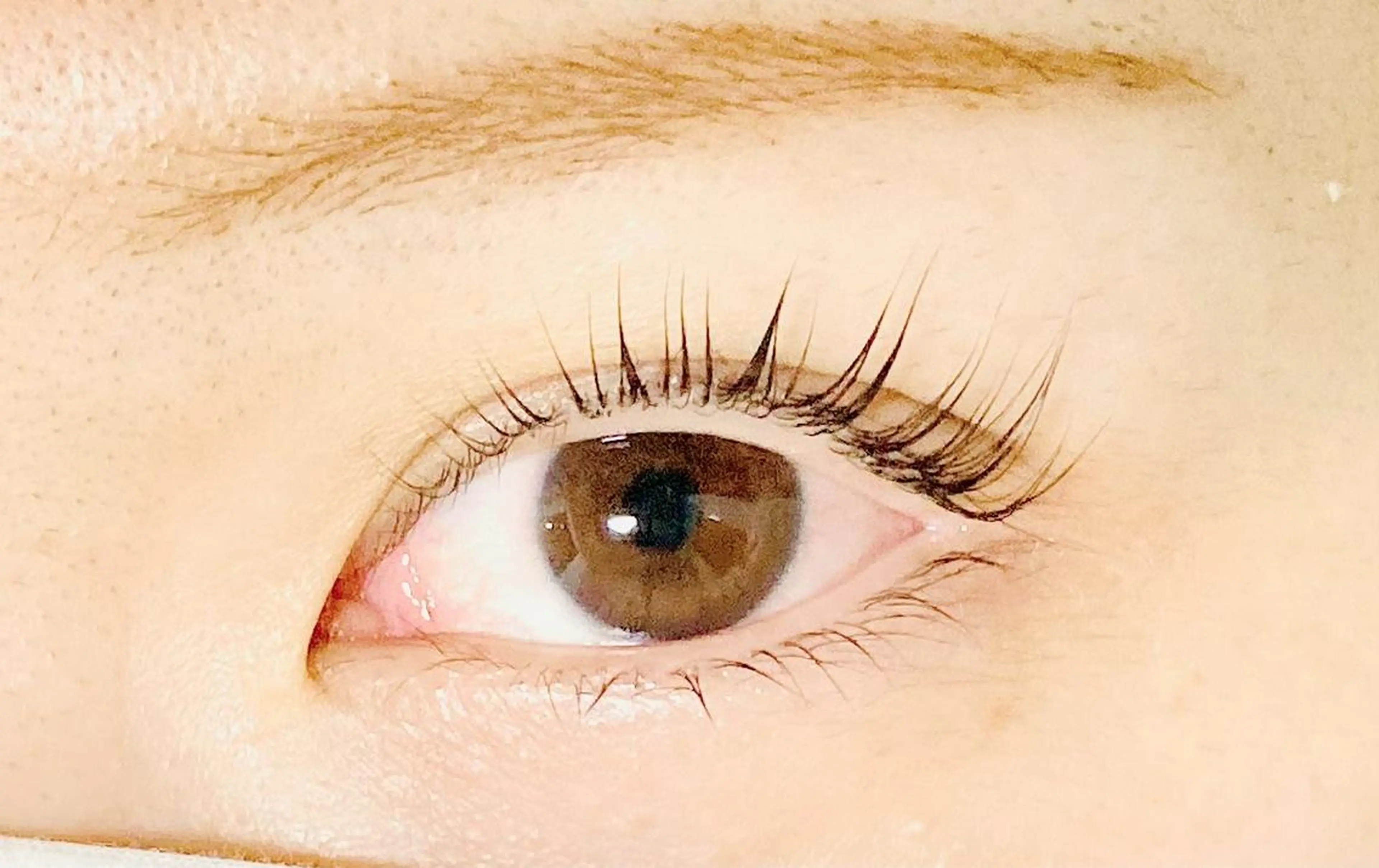 【パリジェンヌラッシュリフト】の写真