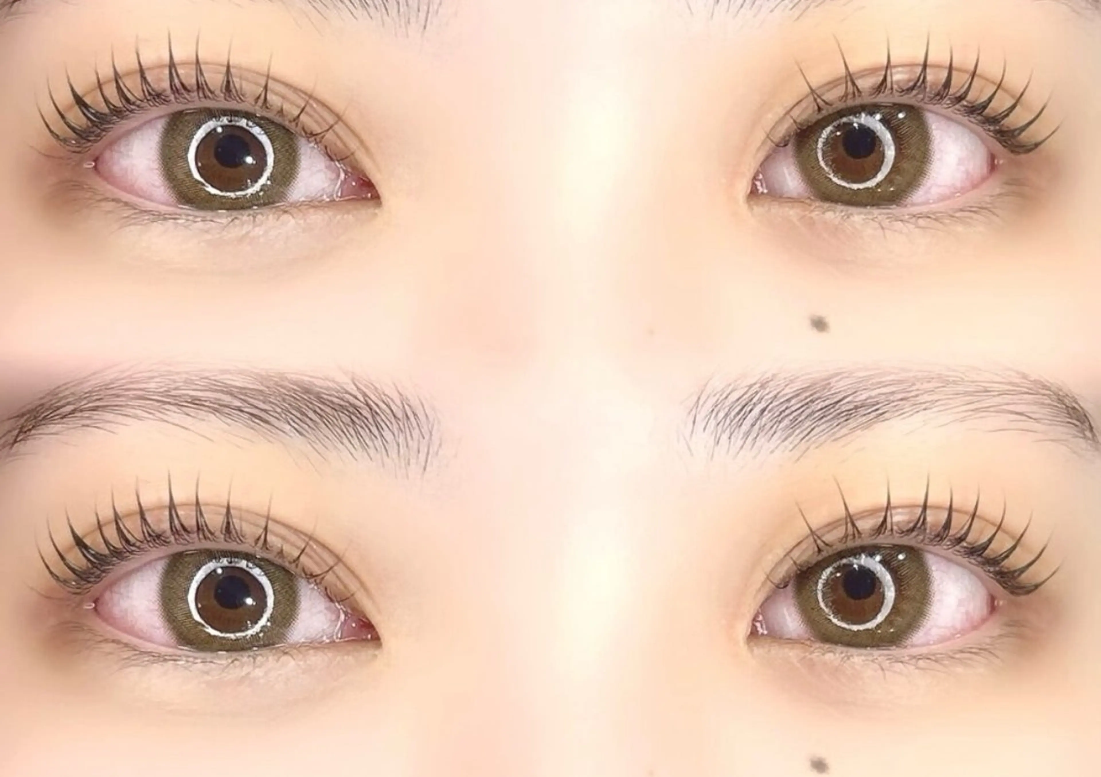 平日限定メニューの写真