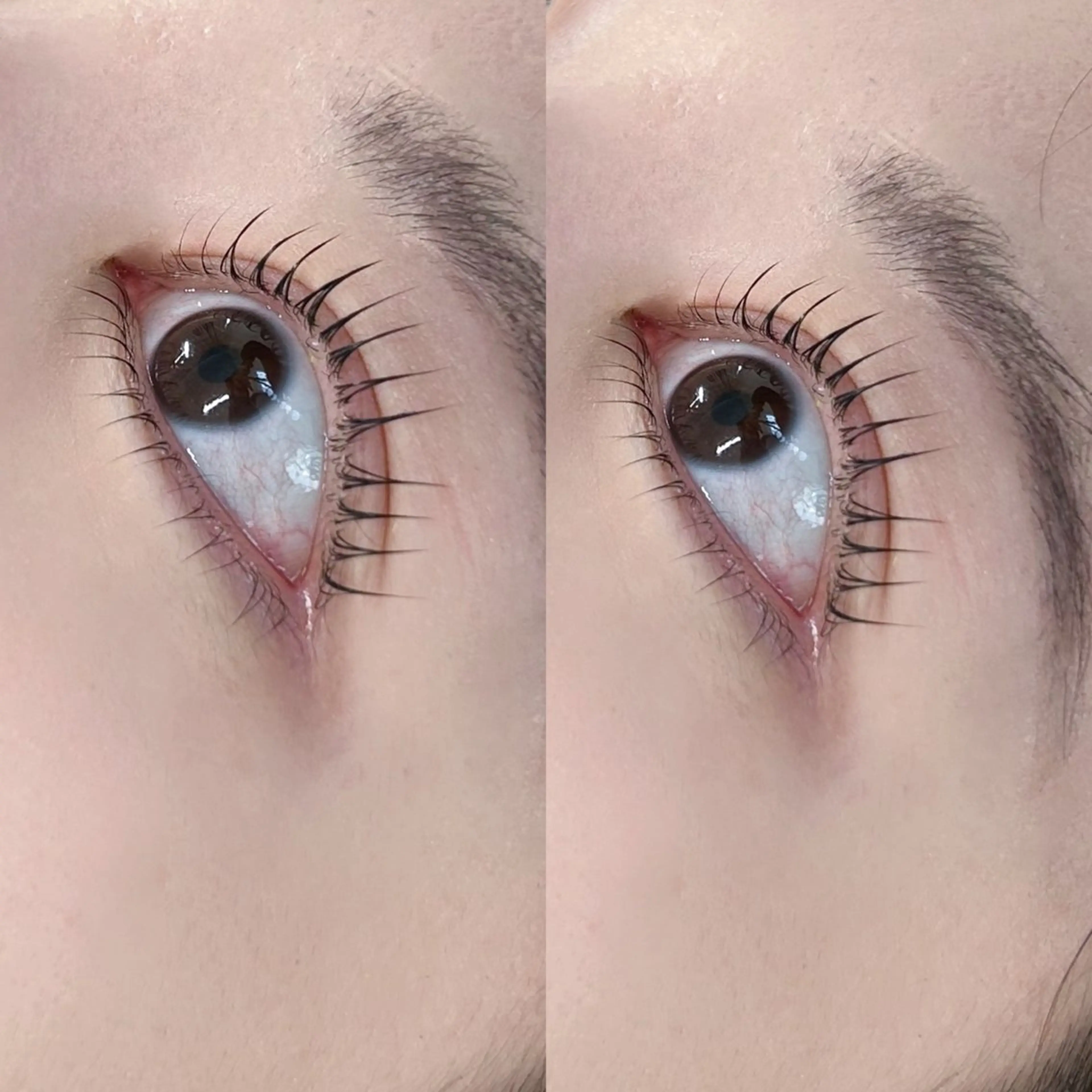 マツエク・マツパ マツパ LAND 渡邊のマツエク・マツパデザイン