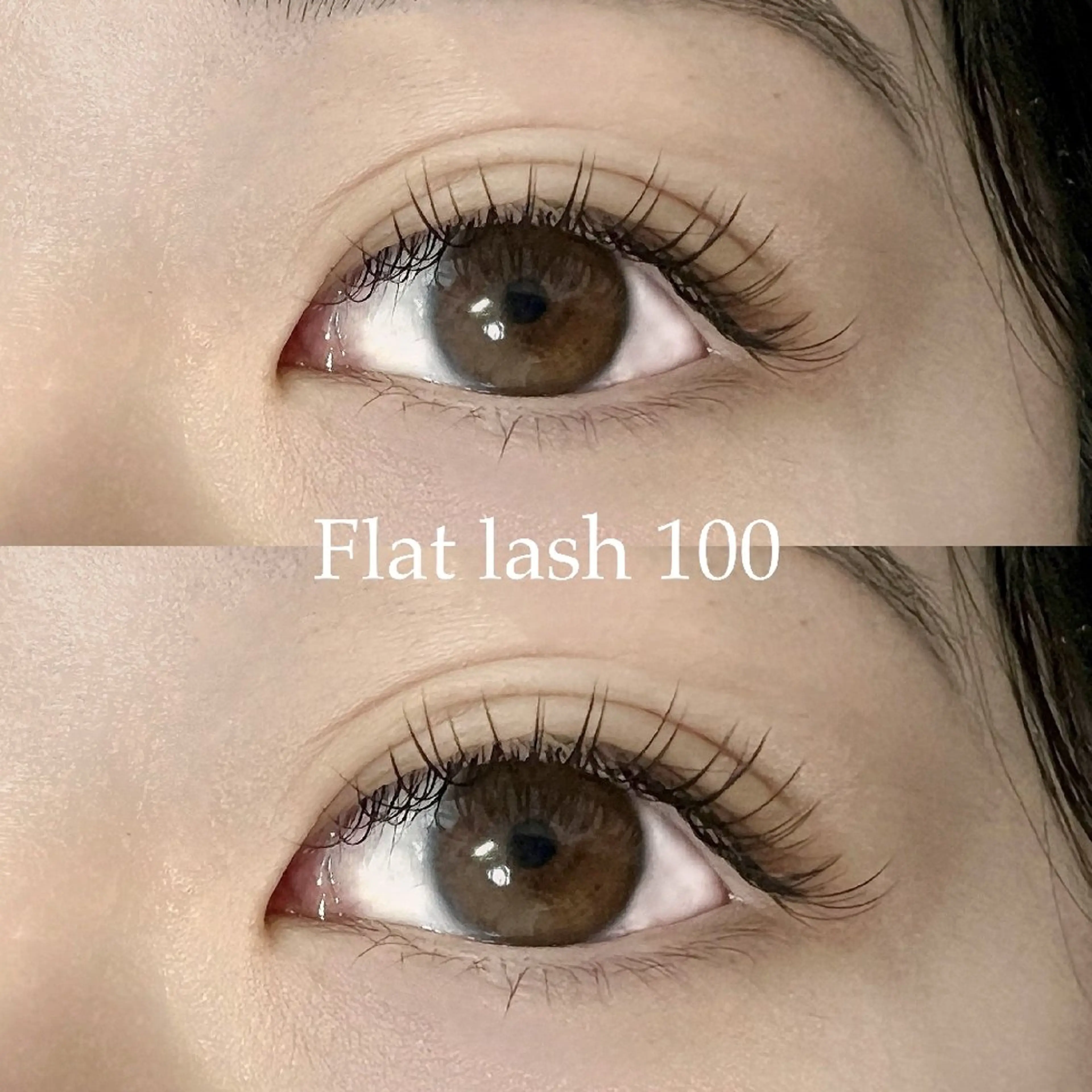 フラットマットラッシュ100本(オフ込み)の写真