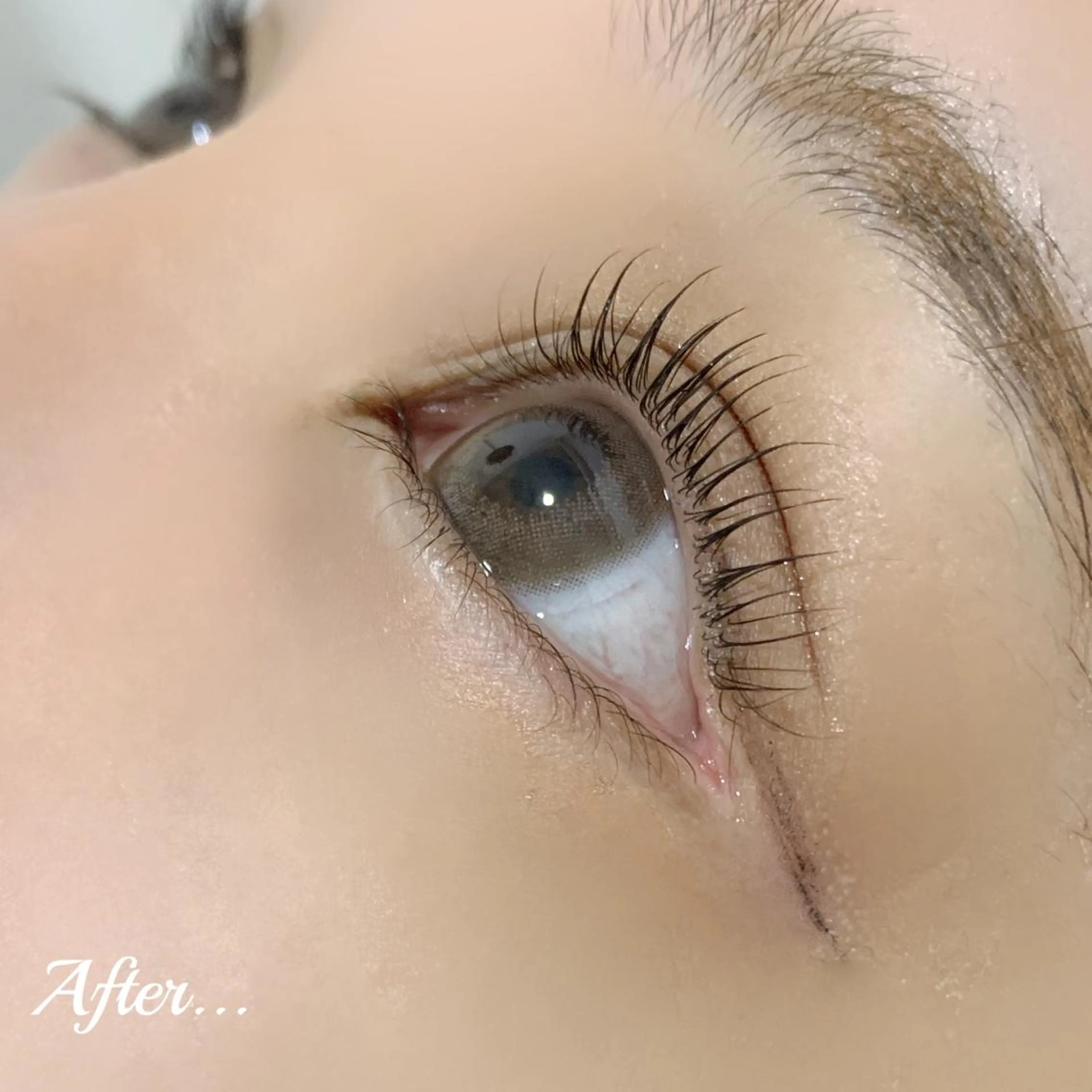 【ご新規様限定】次世代まつ毛パーマ+美容液コーティング✨¥4,500→¥3,500✨の写真