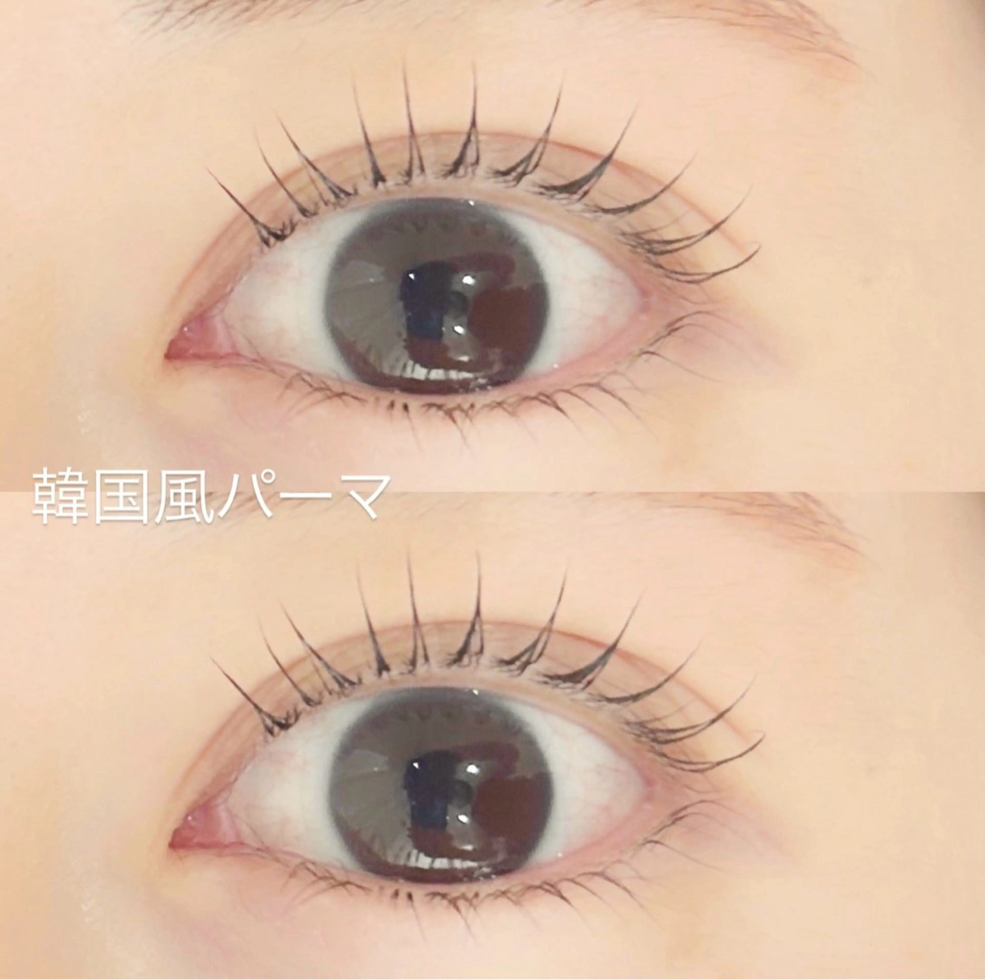 🦋🌙7月ご新規様限定🌙🦋韓国風まつ毛パーマ👀必ず補足説明を読んでからご予約お願いいたしますの写真