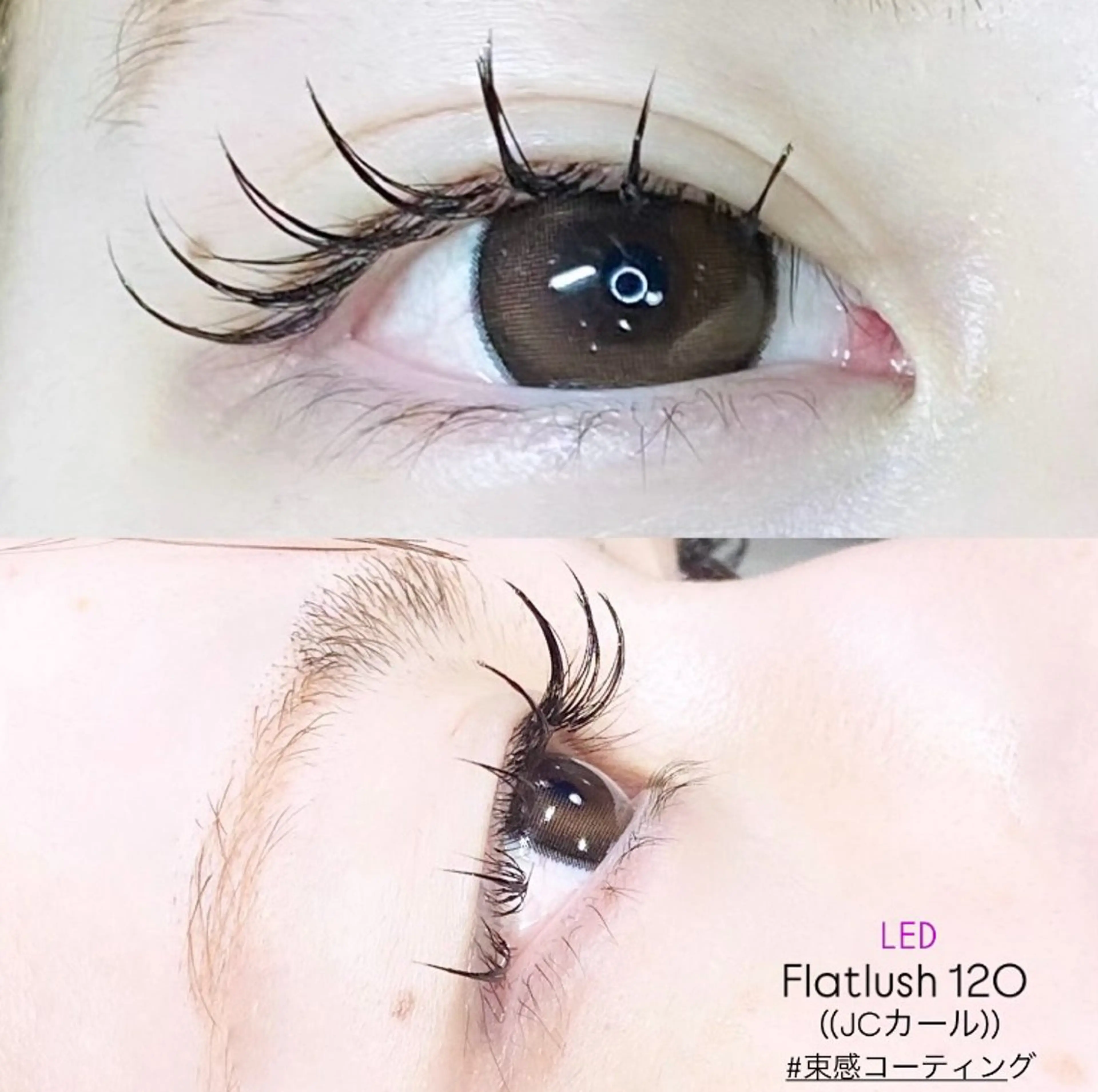 マツエク・マツパ LEDエクステ専門店 Fedis 京橋のマツエク・マツパデザイン