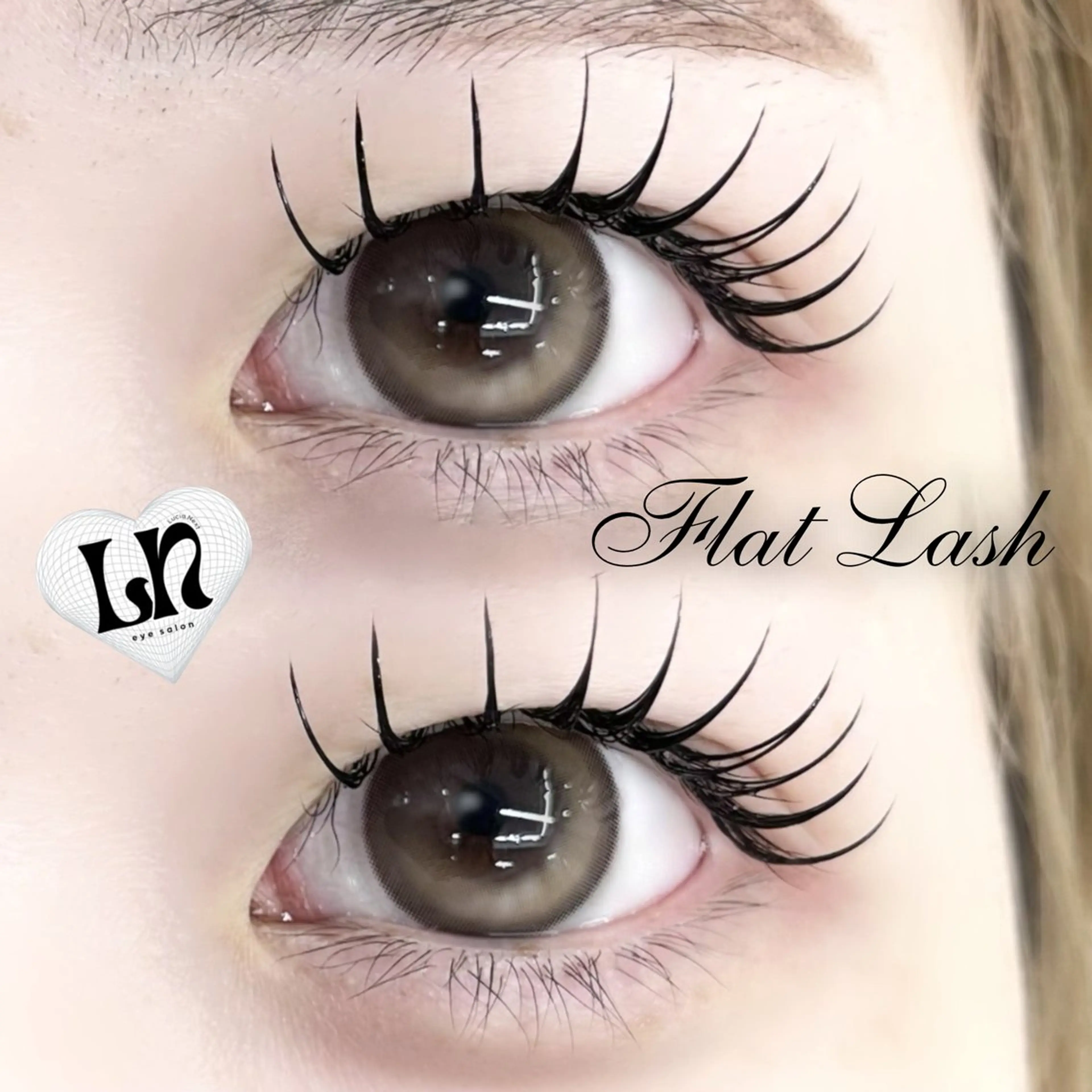 ︎新規様限定価格🖤フラットラッシュ80本🪽《オフ込》🐈‍⬛担当大石 insta▶@toa.014_luicaの写真