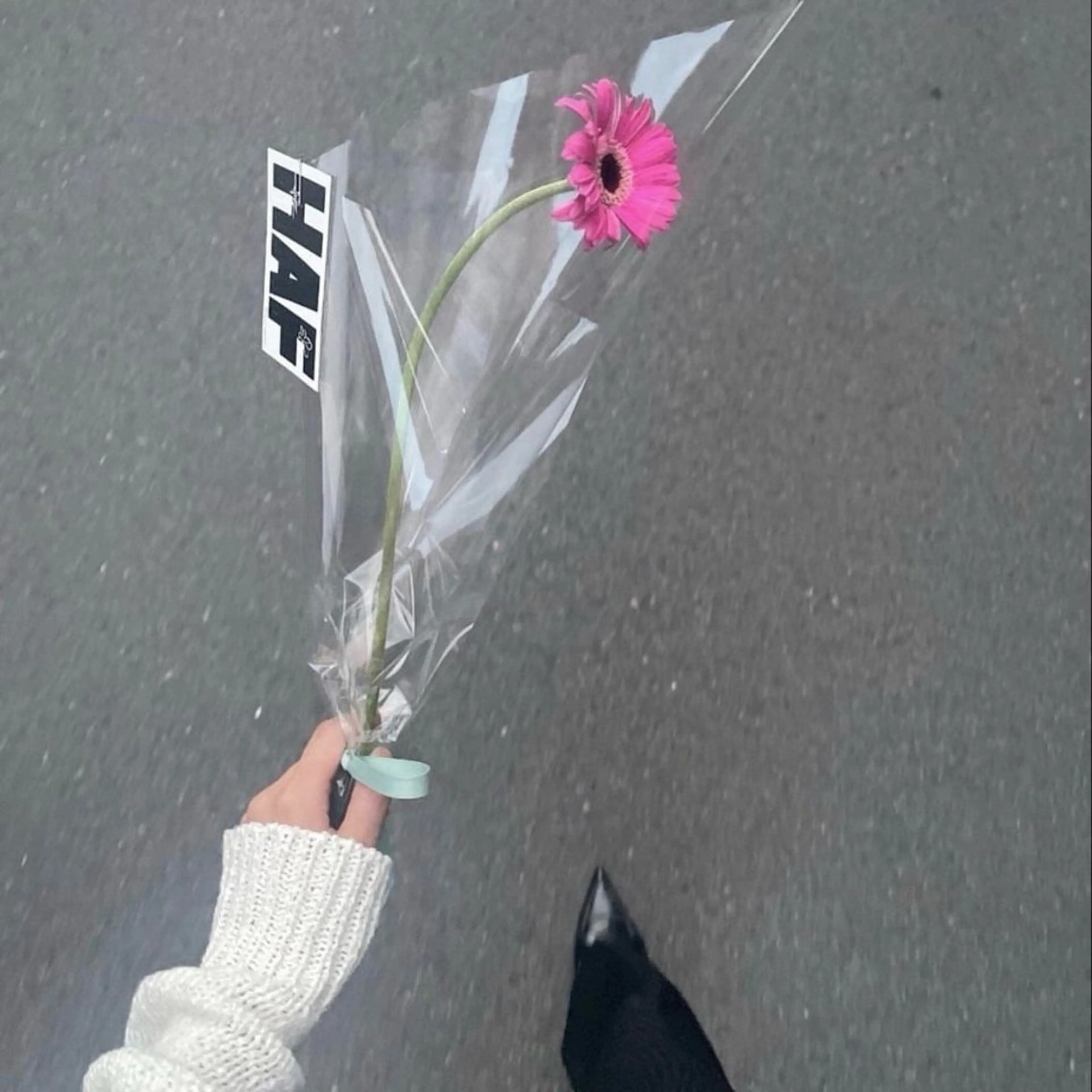 メンズ アイブロウ サキ🎀 /まゆげとまつげのマツエク・マツパデザイン