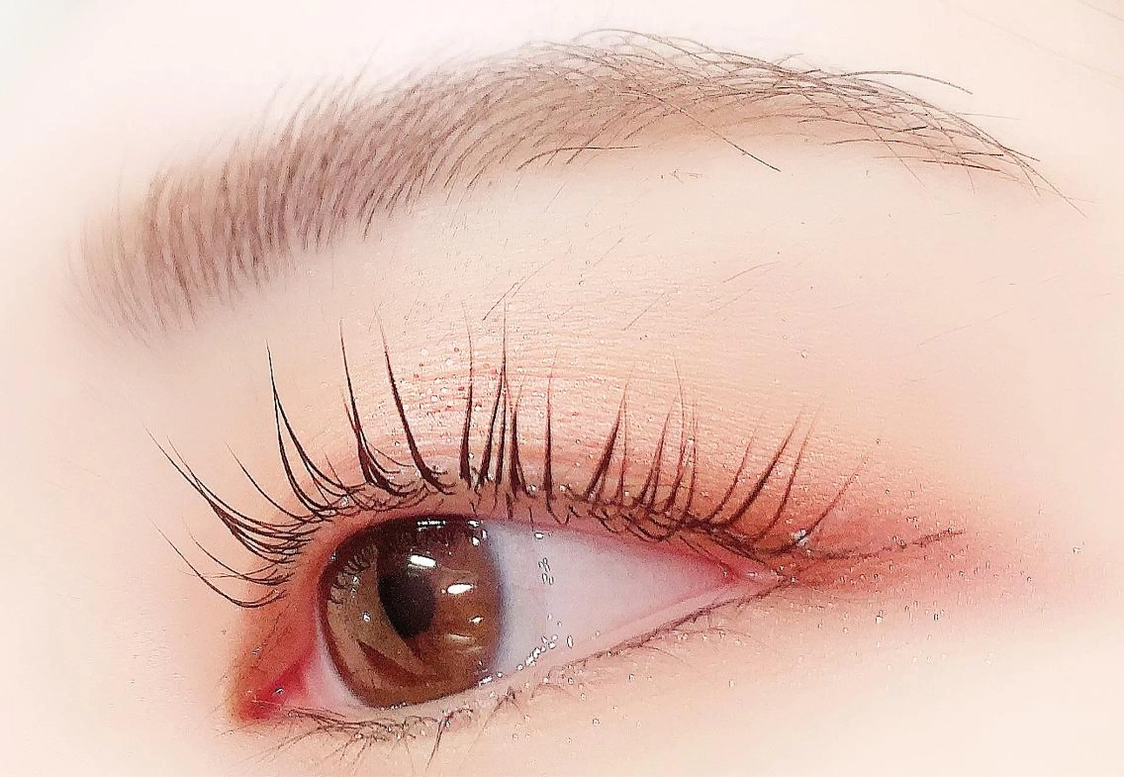 マツエク・マツパ まつげパーマ 【Lanhr】 🕊aya🕊のマツエク・マツパデザイン