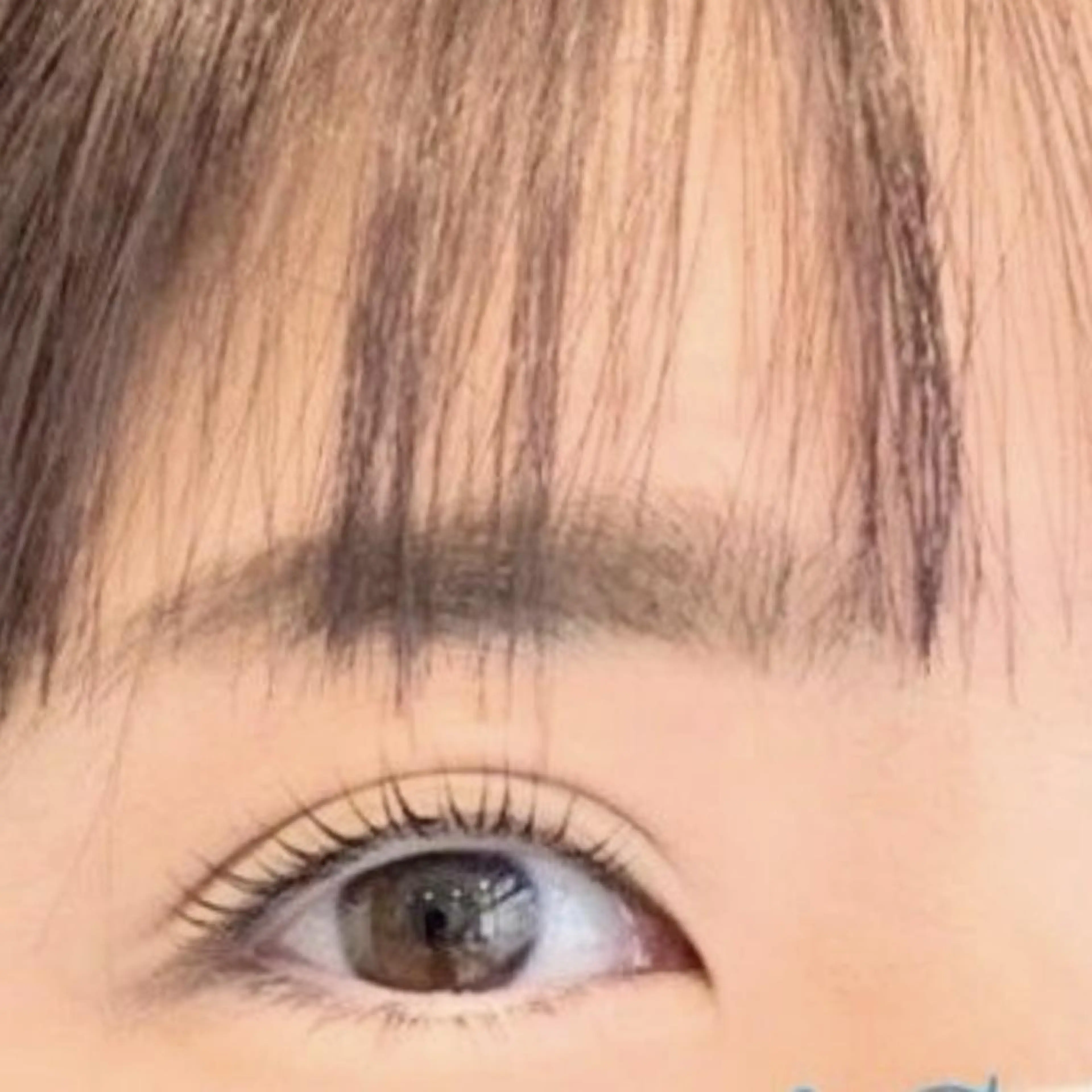 5大ｸﾞﾛ-ｽﾌｧｸﾀ-配合ﾄﾘ-ﾄﾒﾝﾄﾗｯｼｭﾘﾌﾄ　ﾗｯｼｭｸﾞﾗﾝﾃﾞｨｰﾙ美容液現品1本付きの写真