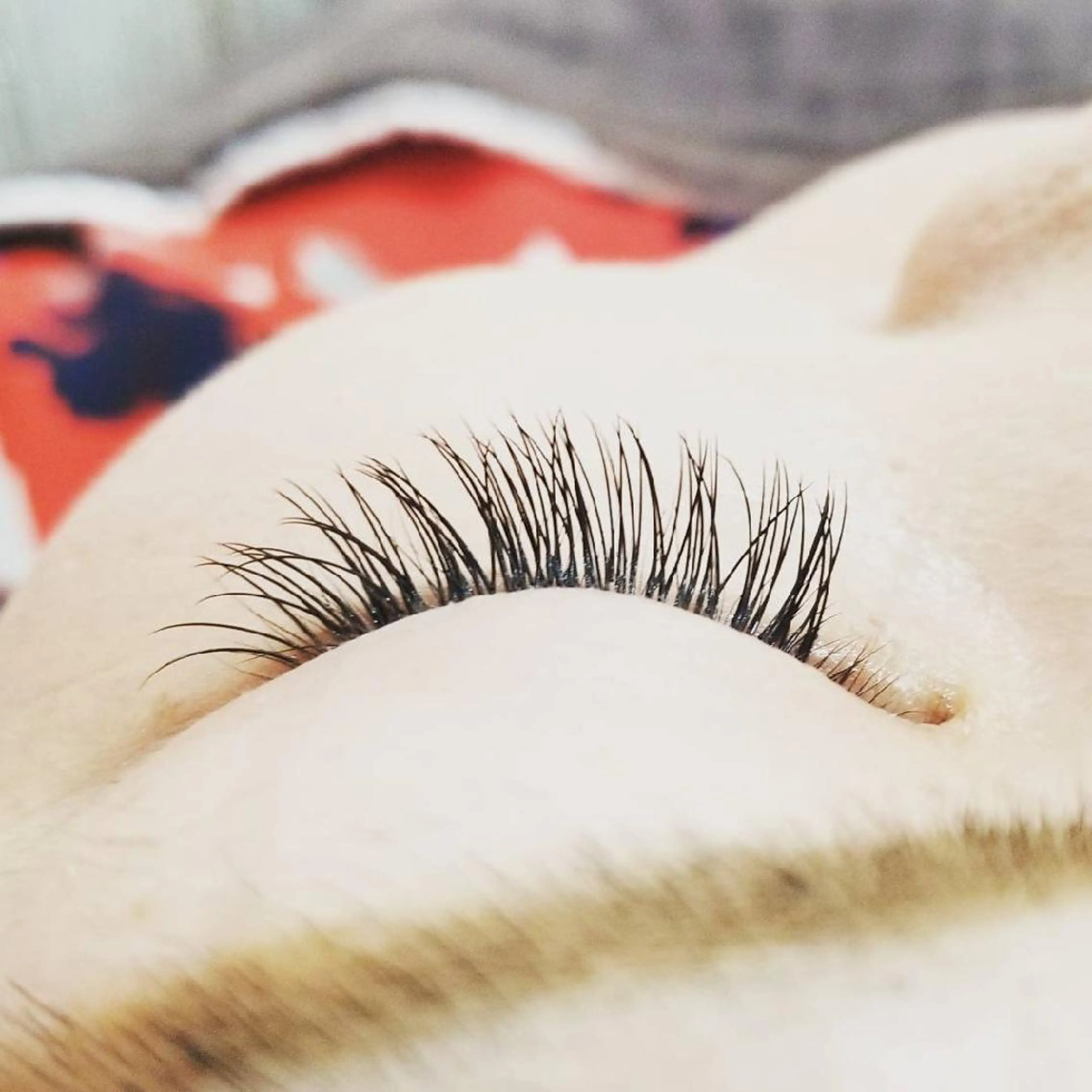 マツエク・マツパ  毛穴洗浄・まつ毛 の専門店 ソラーレのエステ・リラクイメージ