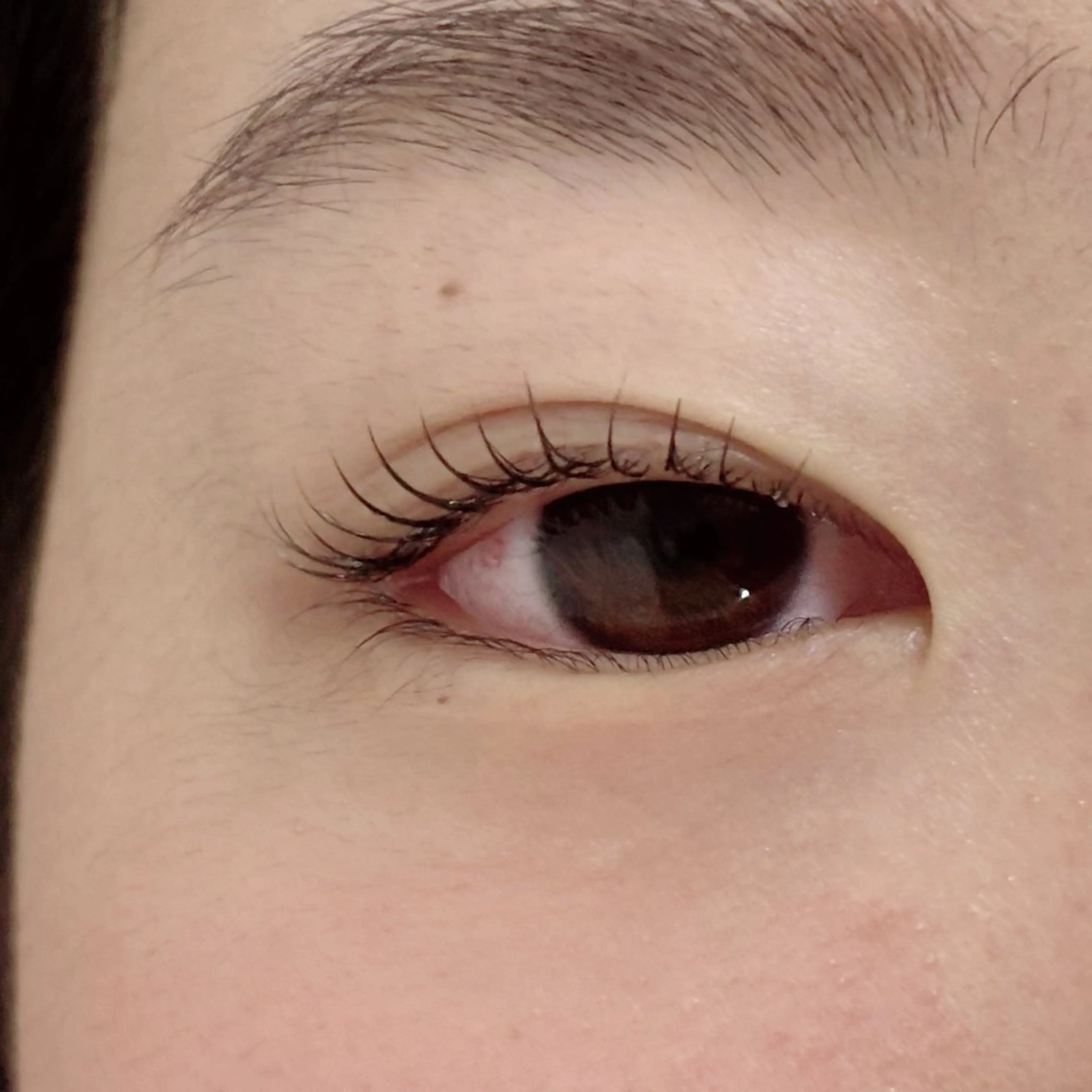 マツエク・マツパ 彩楓 /EYELA🪄ྀིのマツエク・マツパデザイン