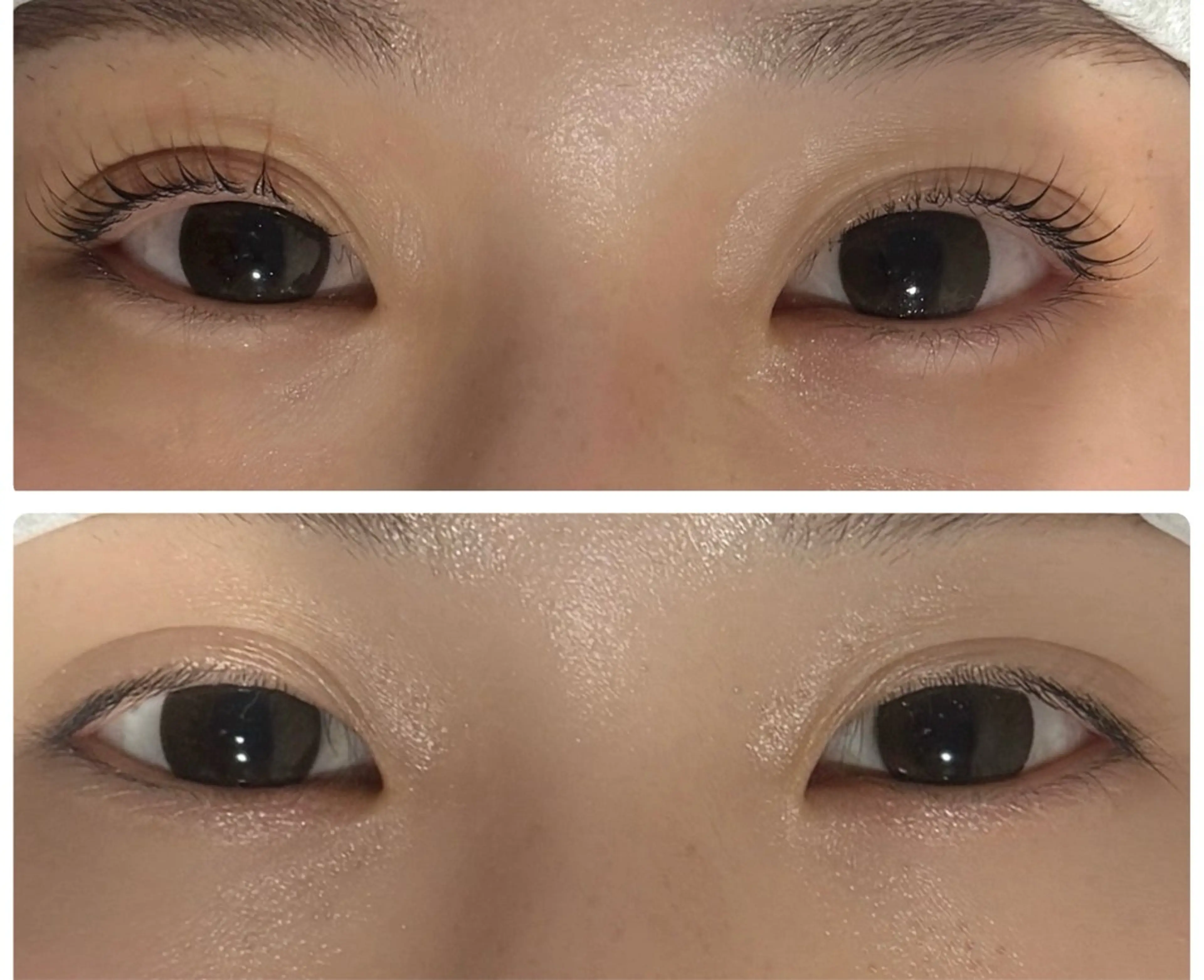 🌸4月限定割引🌸まつげパーマ【Cカールデザイン】の写真