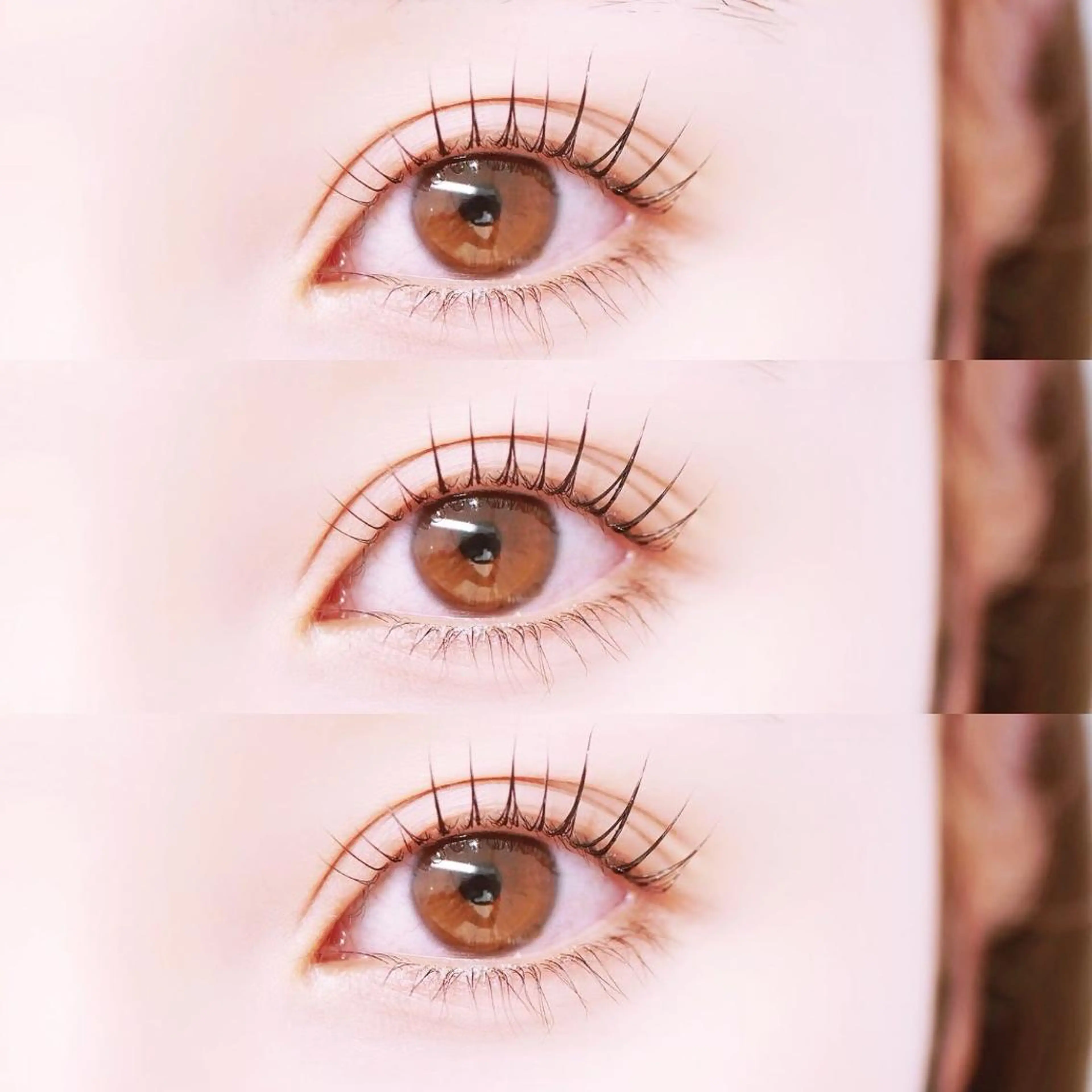 マツエク・マツパ asuka 𖥸 アイブロウ🦊🤎の眉毛・アイブロウイメージ