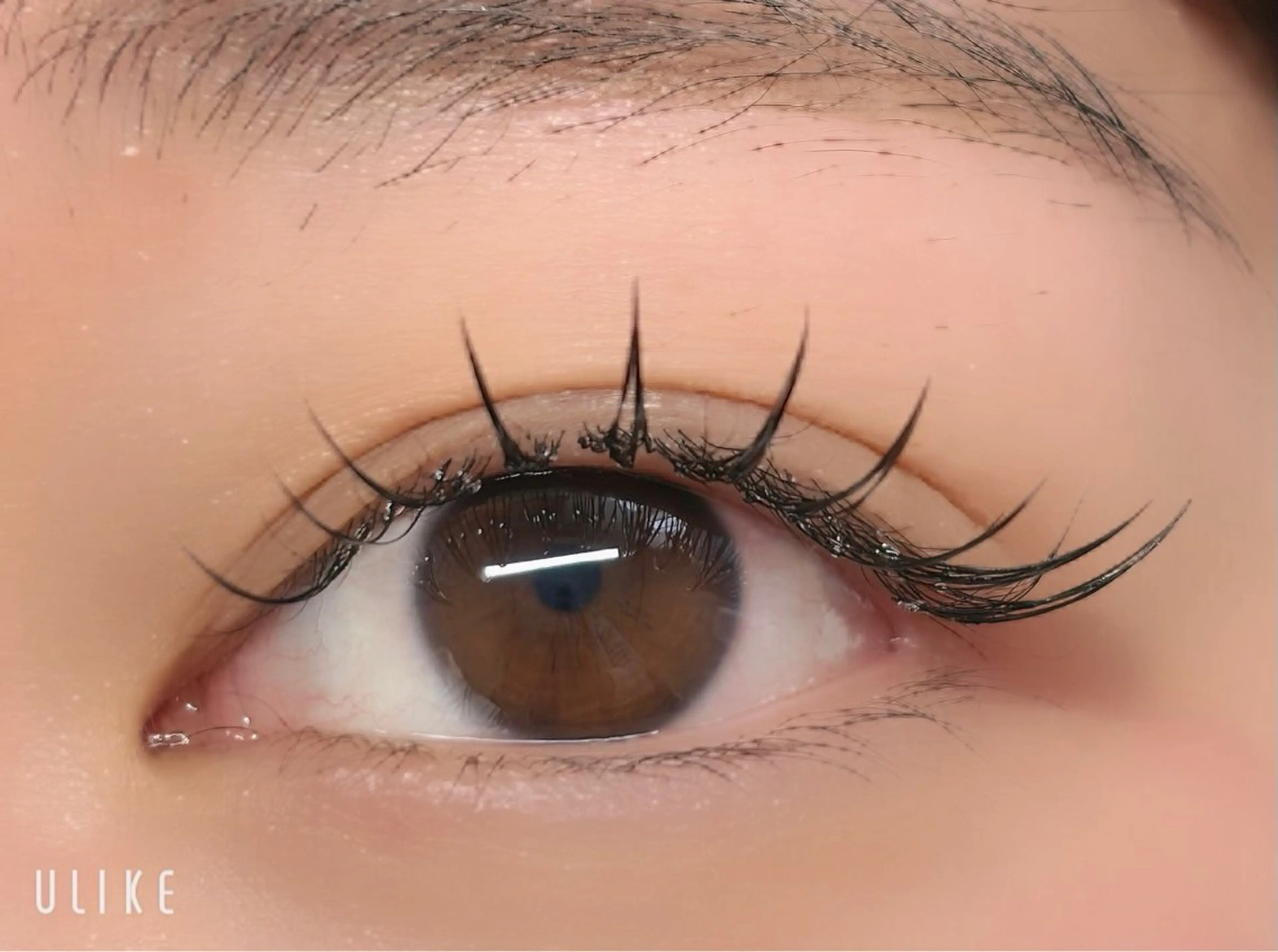 マツエク・マツパ フラットラッシュ マツエク ルチア💞 lucia高田馬場のマツエク・マツパデザイン