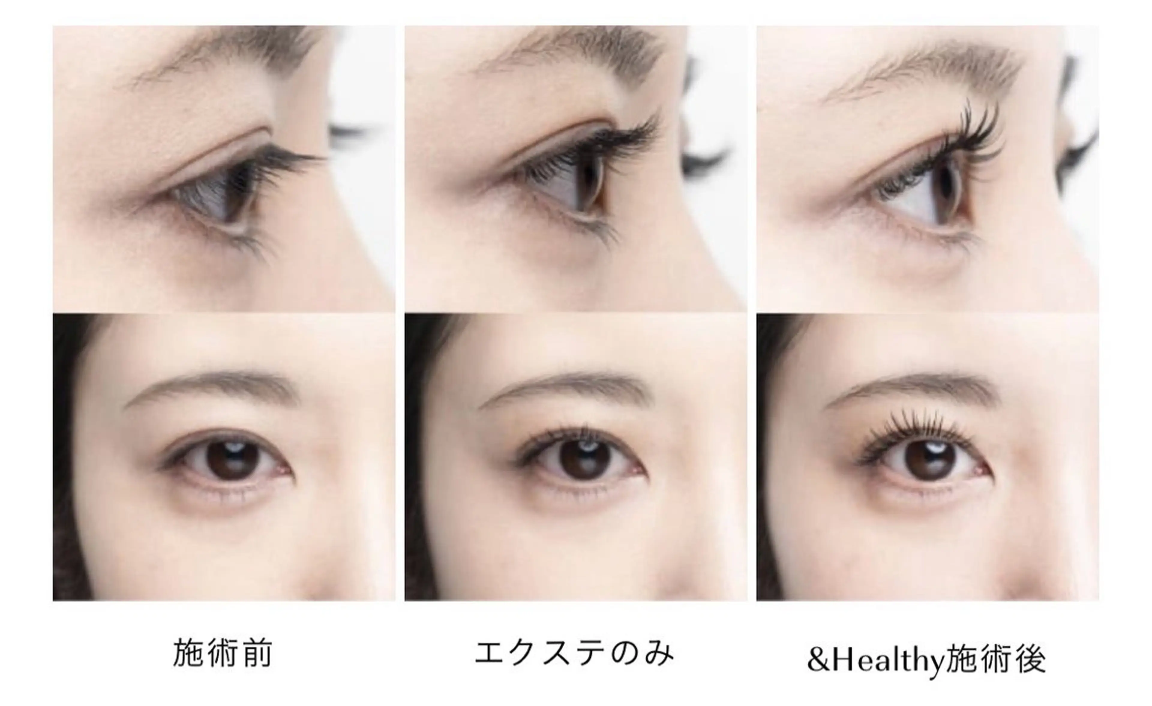 マツエク・マツパ マツエク 【LILY】伊沢/ バインド/パリ/エクのマツエク・マツパデザイン