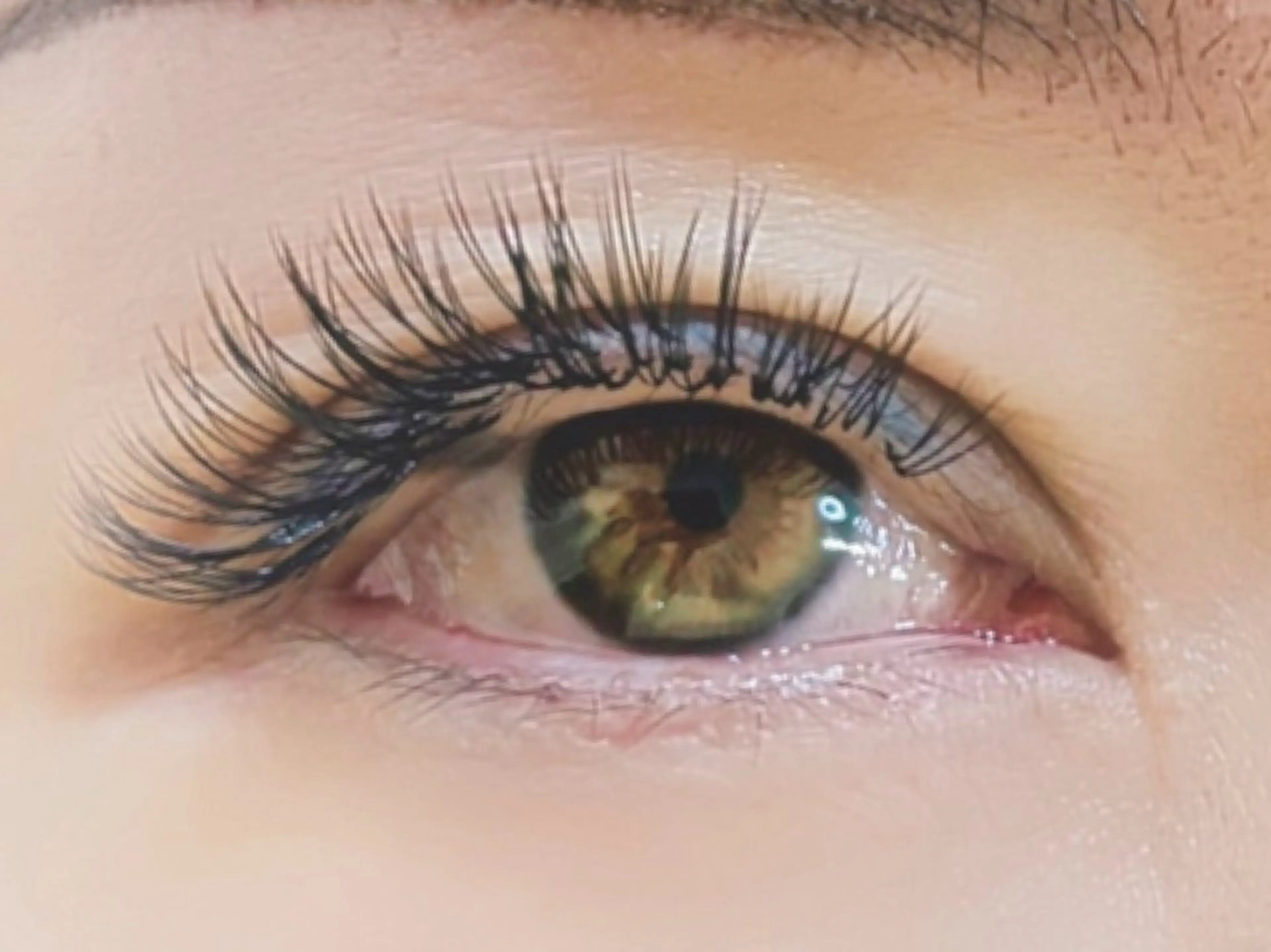 マツエク・マツパ 付け放題 バインドロック 束感まつ毛 フラットラッシュ パリジェンヌラッシュリフト マツエク オーロラ所属・AURORA RINAのマツエク・マツパデザイン