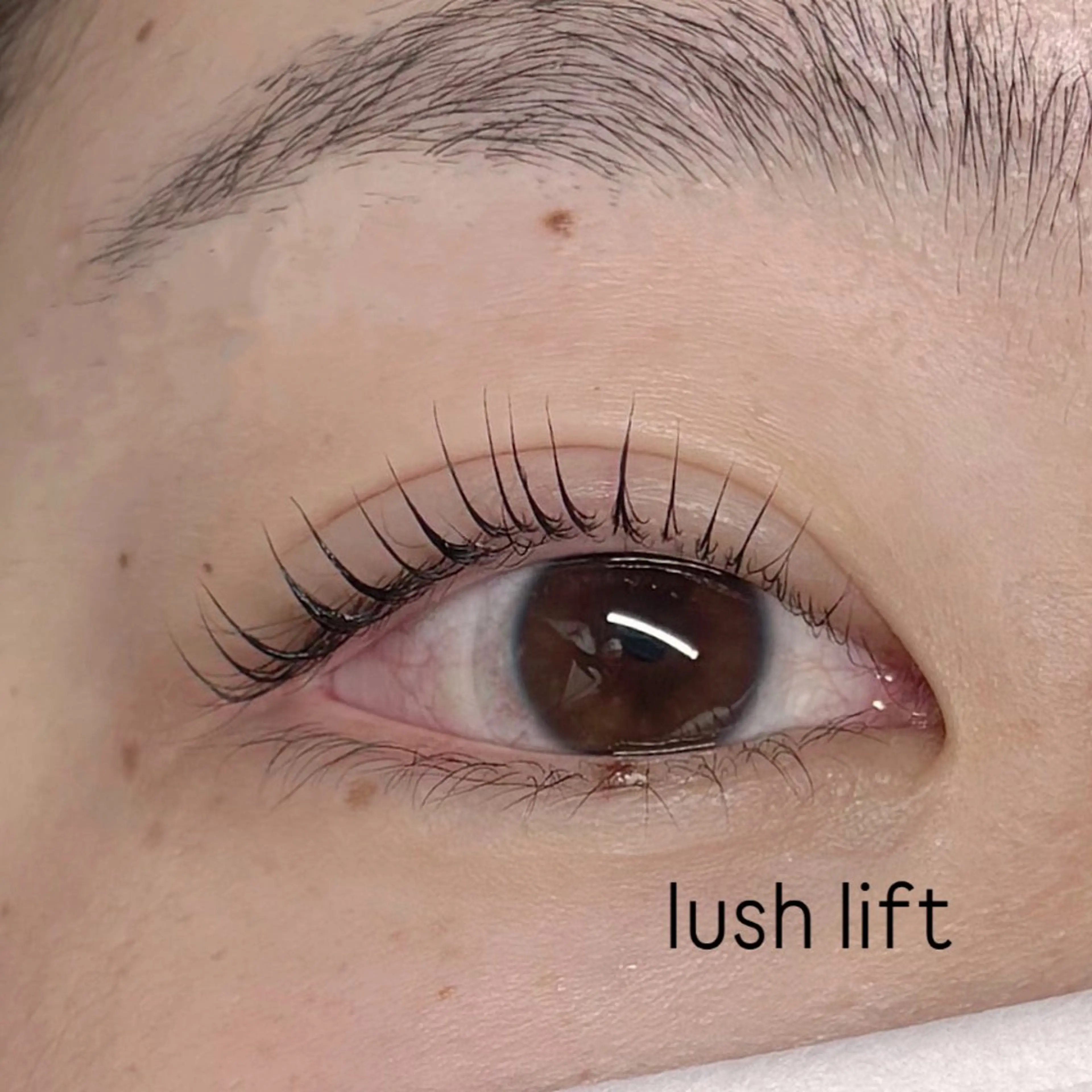 マツエク・マツパ まつげパーマ マツパ eyelash Sのマツエク・マツパデザイン