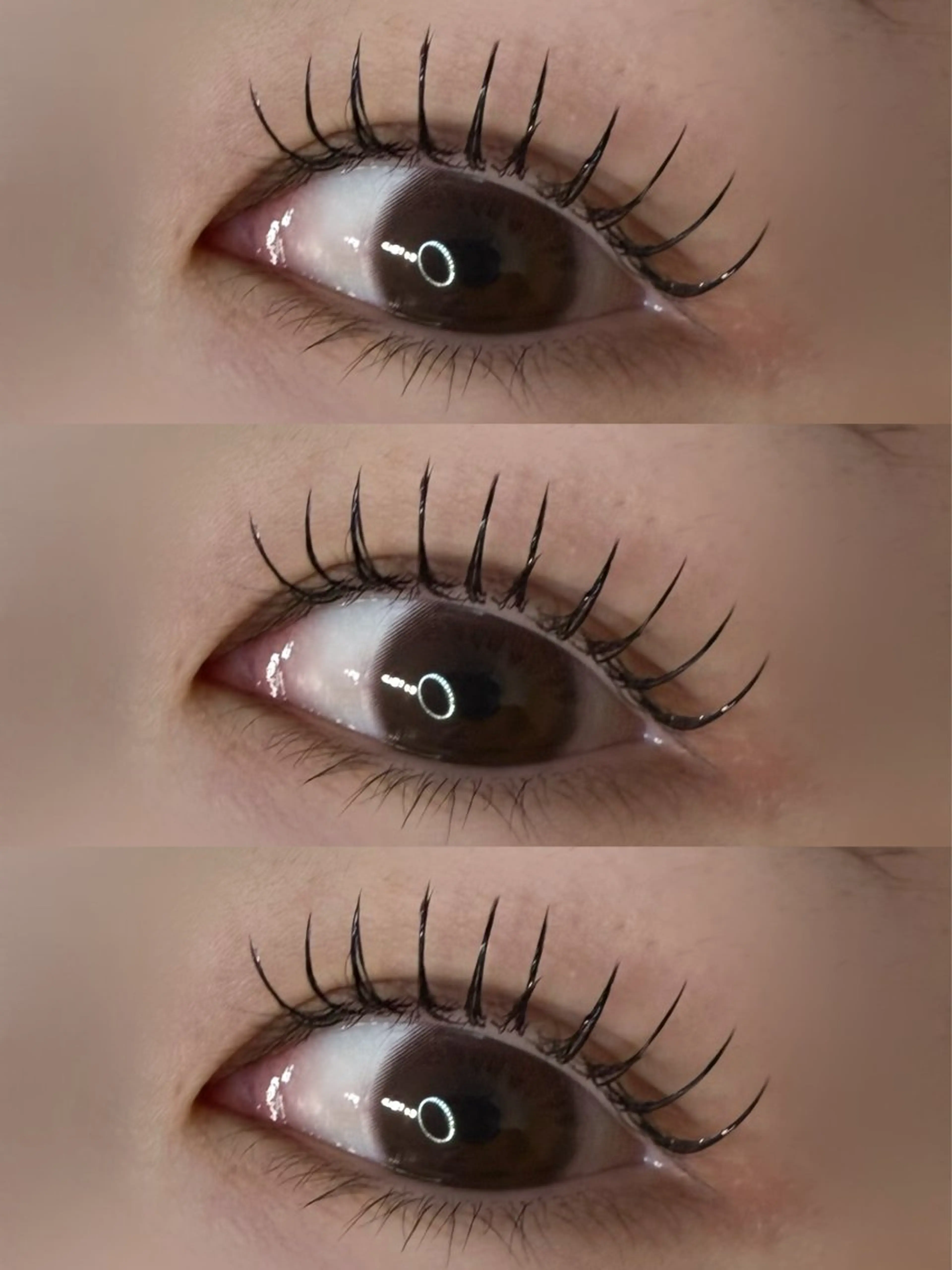 マツエク・マツパ Carna makiのマツエク・マツパデザイン