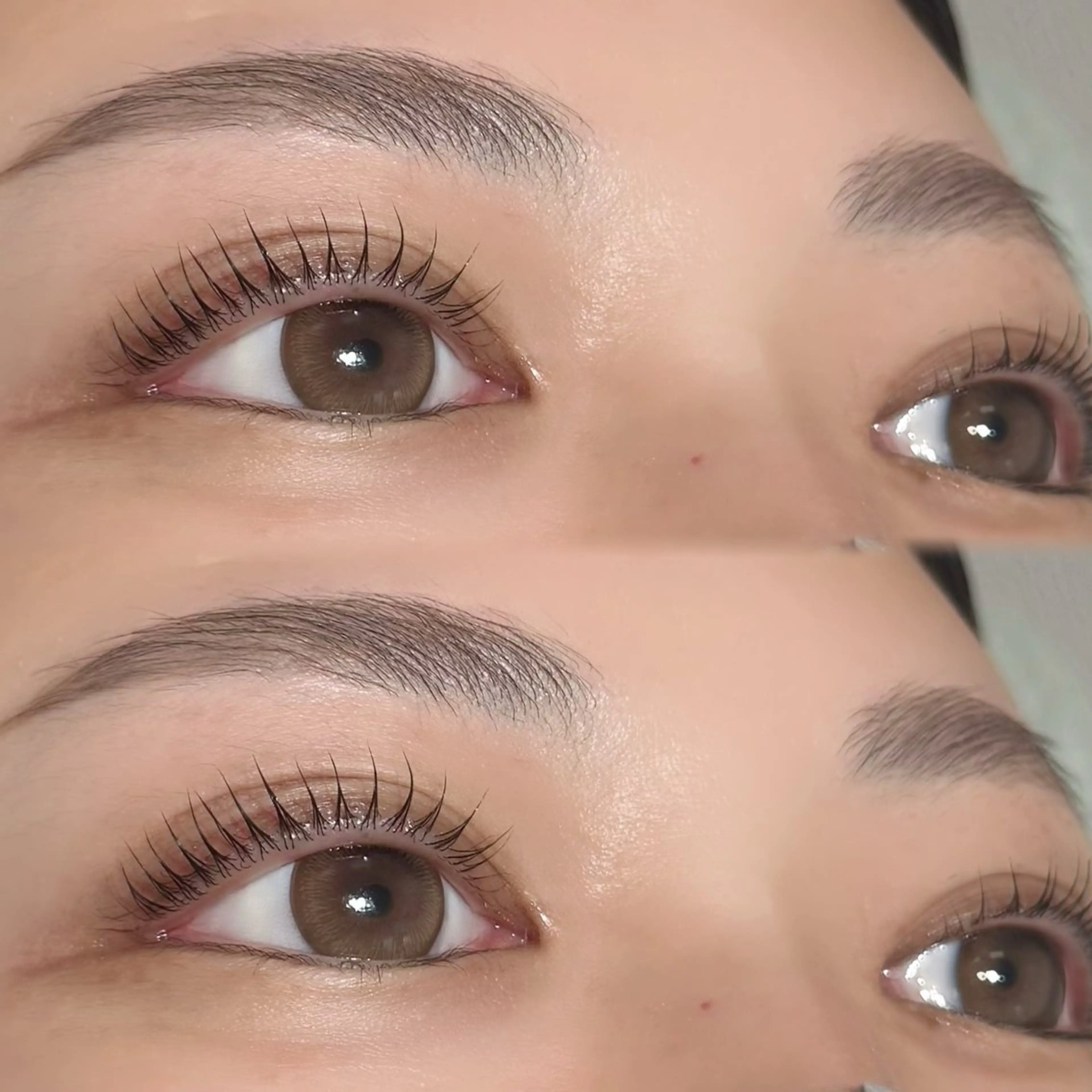 【新規】💝ピックアップメニュー💝お得セット🌟ラッシュリフト➕アイブロウWAXの写真