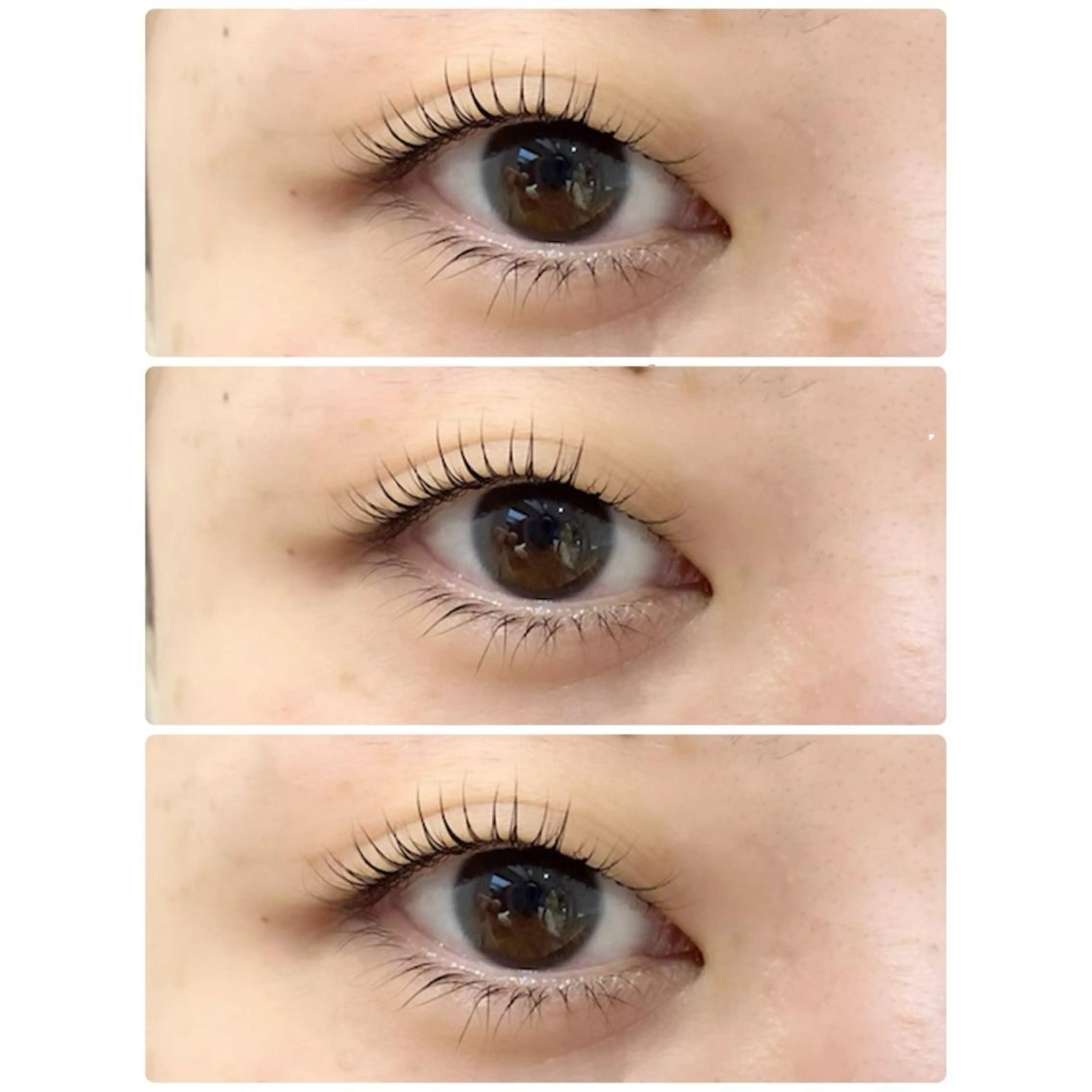 マツエク・マツパ 一重×まつ毛パーマ 白潟 (シラガタ)の眉毛・アイブロウイメージ