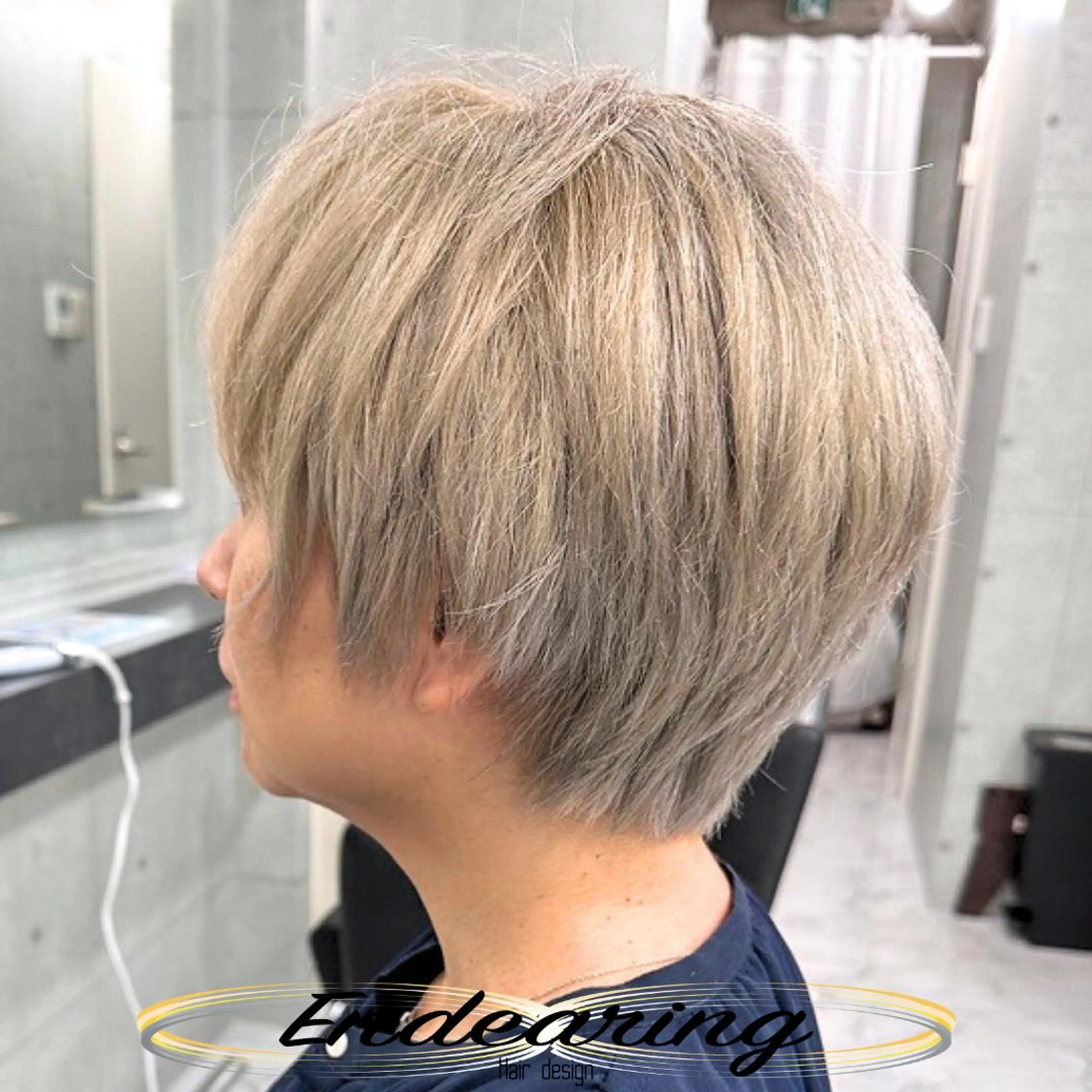 カラー ブリーチ 透明感カラー シルバー ホワイトシルバー ヘアカラー Endearing 銀座/レイヤーカットのヘアスタイル