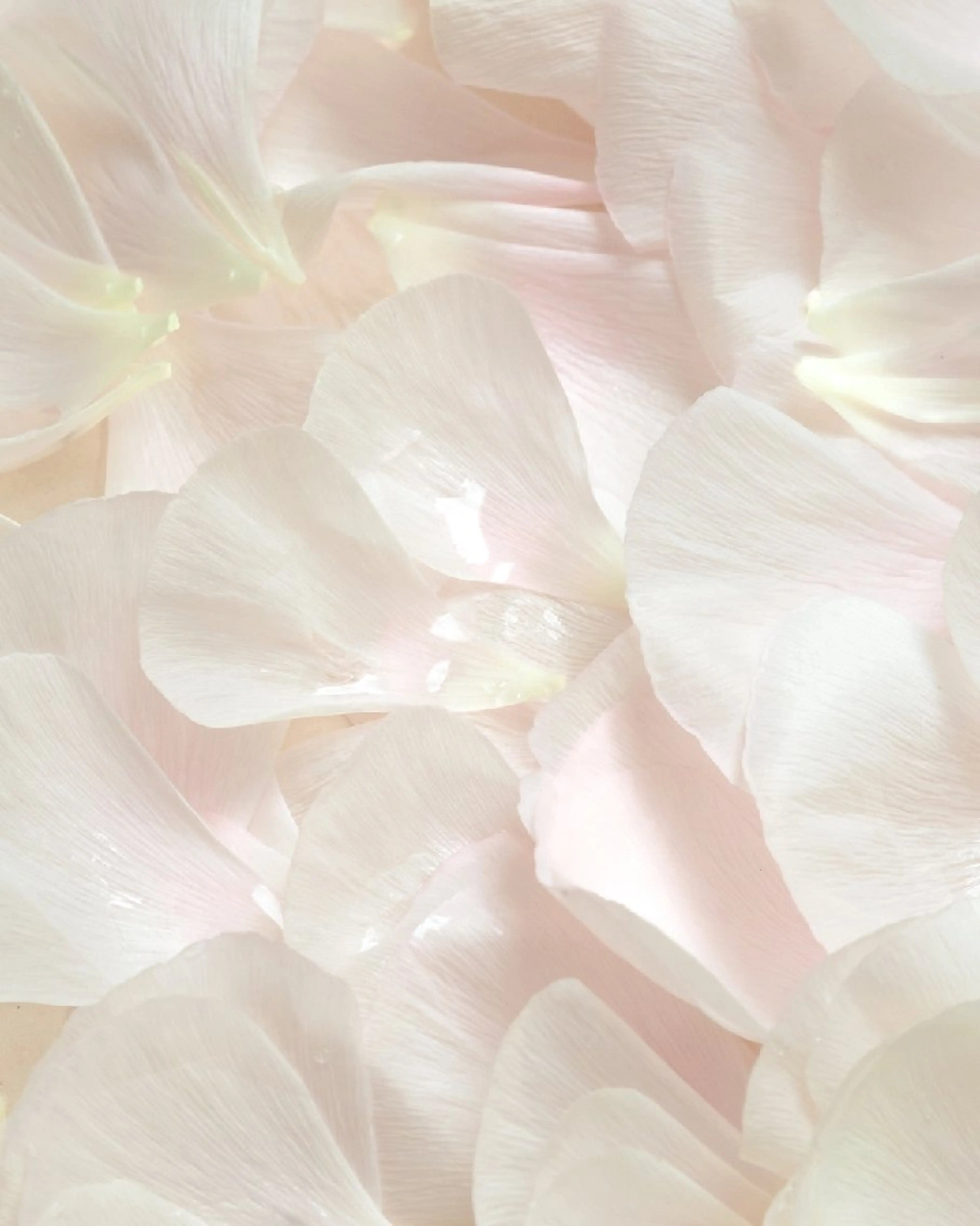 吉乃 プライベートサロンのその他イメージ