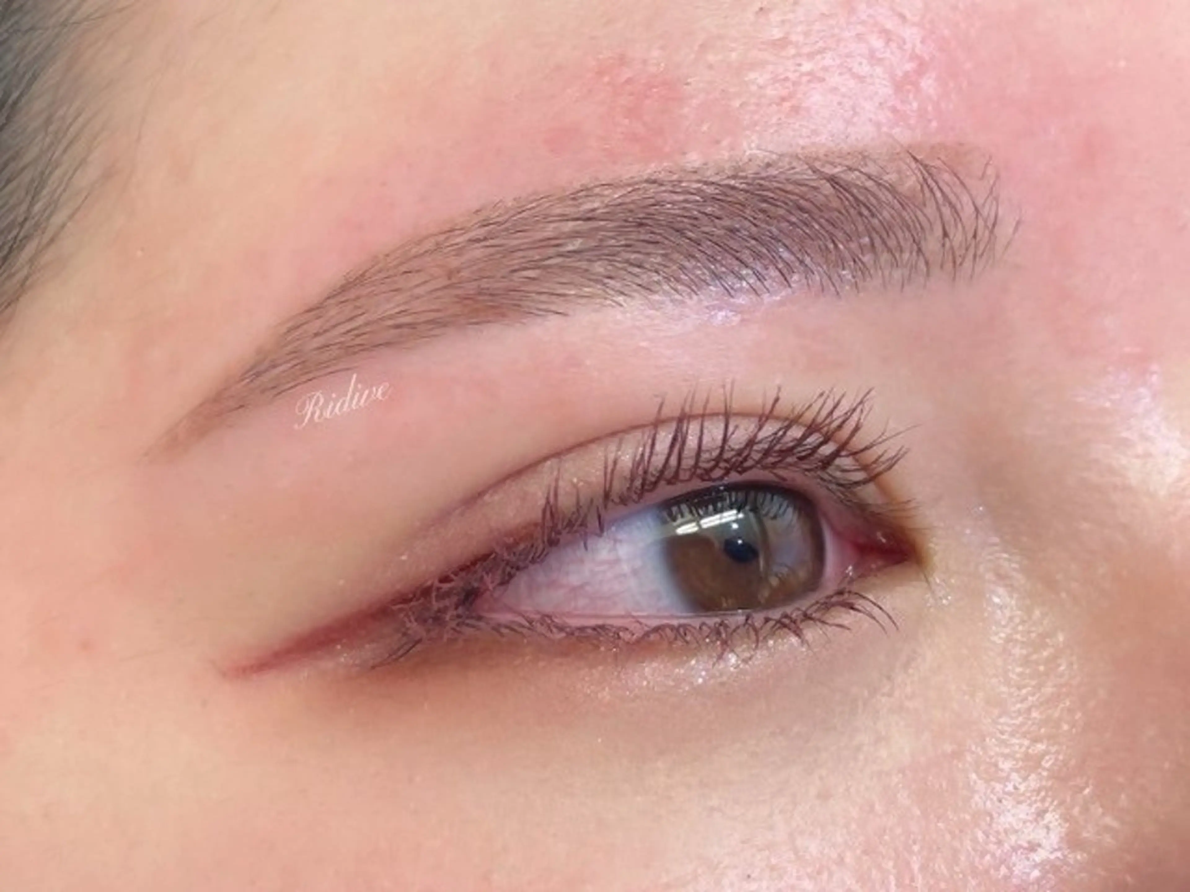 アイブロウ Ridive Ruiの眉毛・アイブロウイメージ