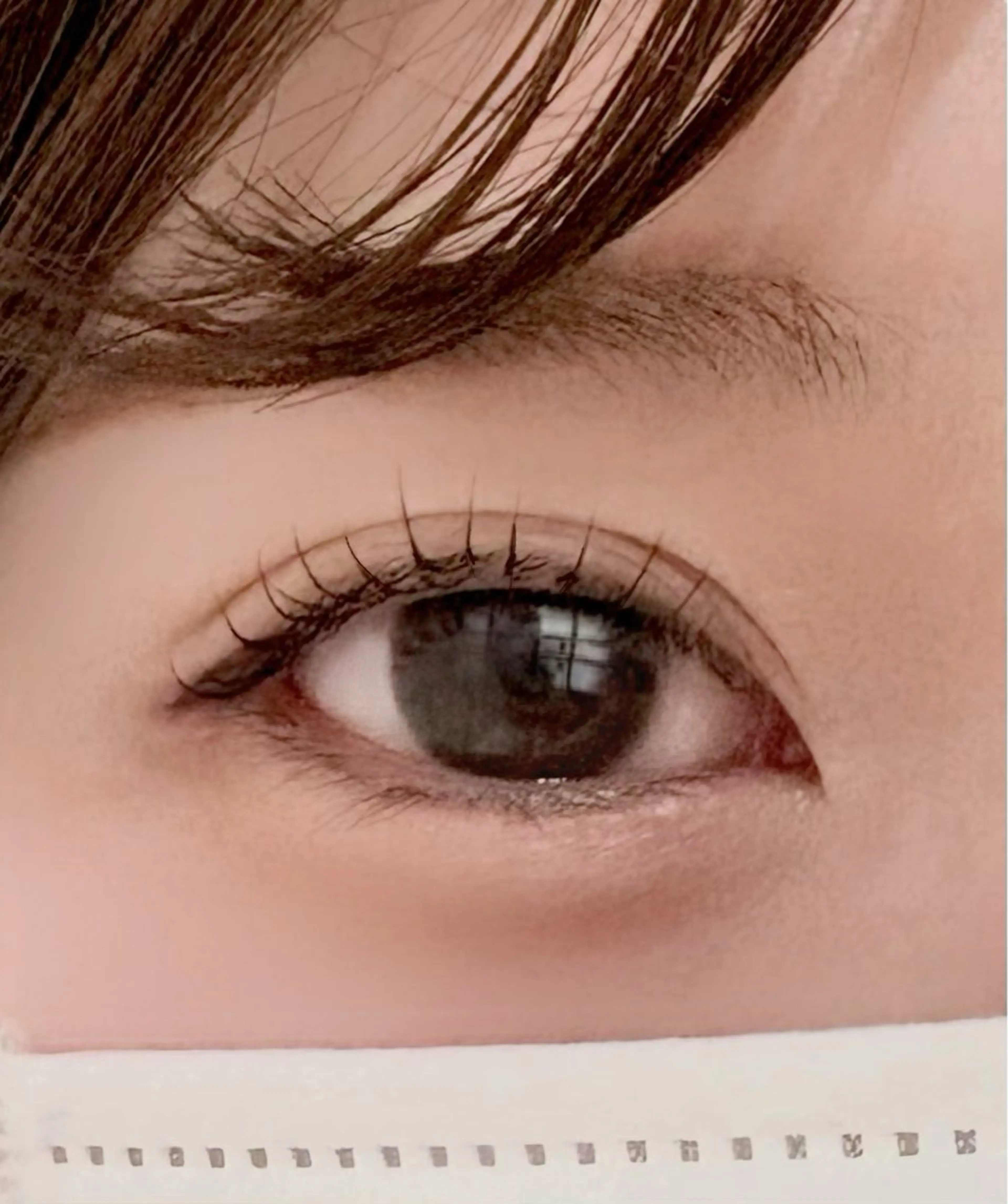 【🪞無料まつ毛パーマ】の写真