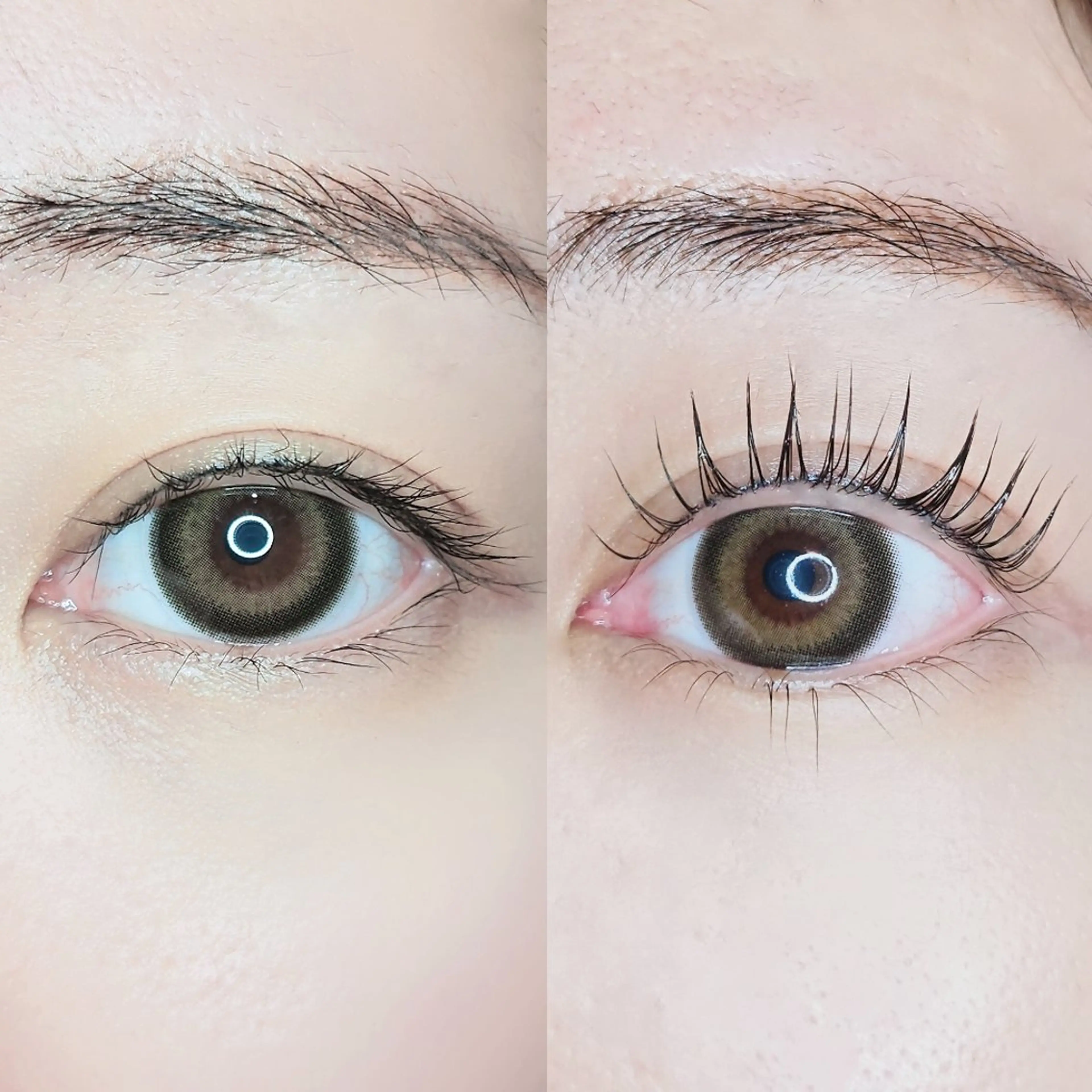 まつげパーマ/ラッシュリフト　上のみ《カール70種類以上!!オーダーメイド》アイシャンプーはサービス🫧の写真