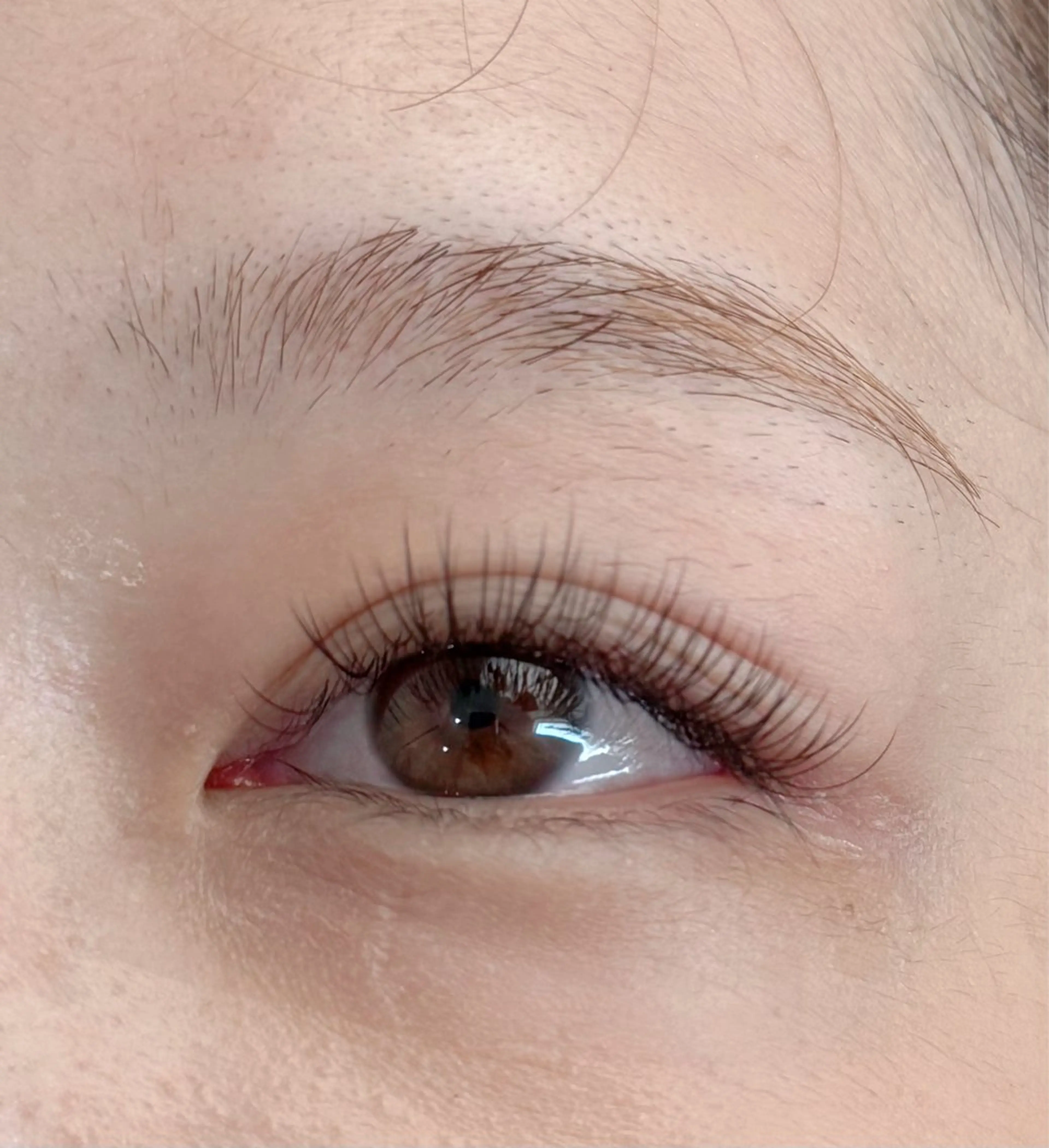 リピート率No.1‼️水に強いLEDエクステお試し１００本の写真