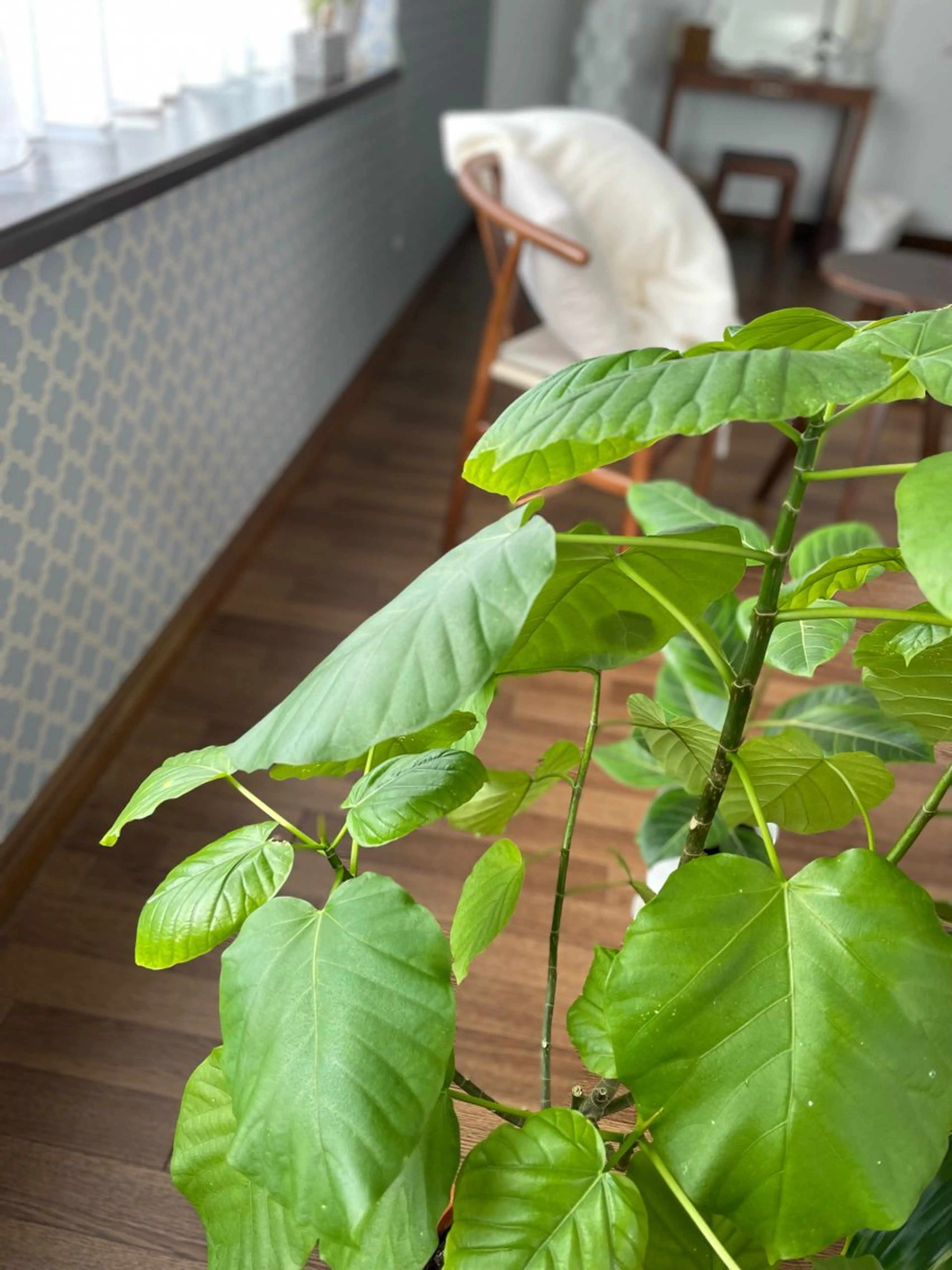 リラクゼーション 肩こり｜姿勢｜大阪のエステ・リラクイメージ