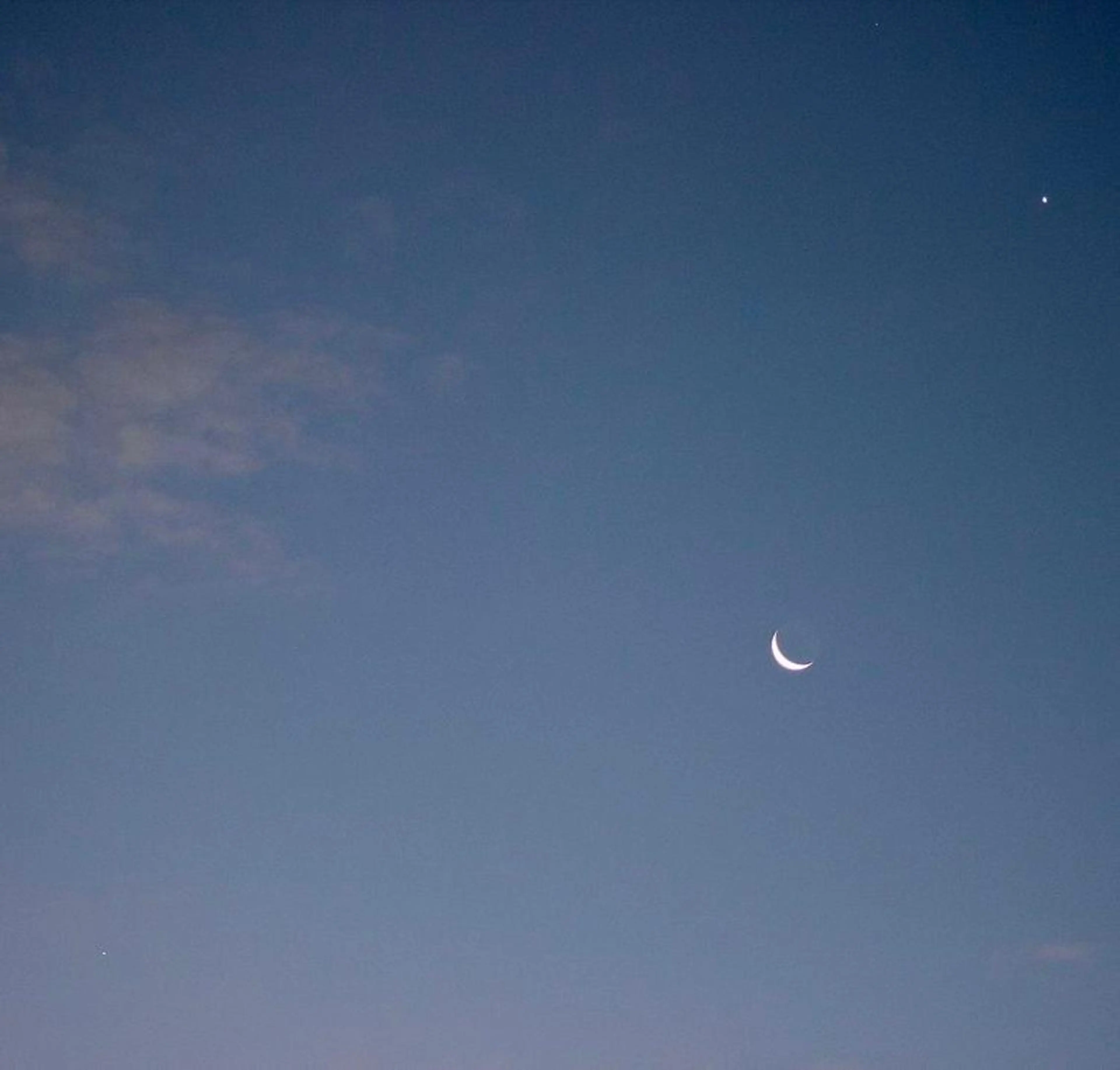 ∴Sanae. ∴ トータルビューティーのマツエク・マツパデザイン