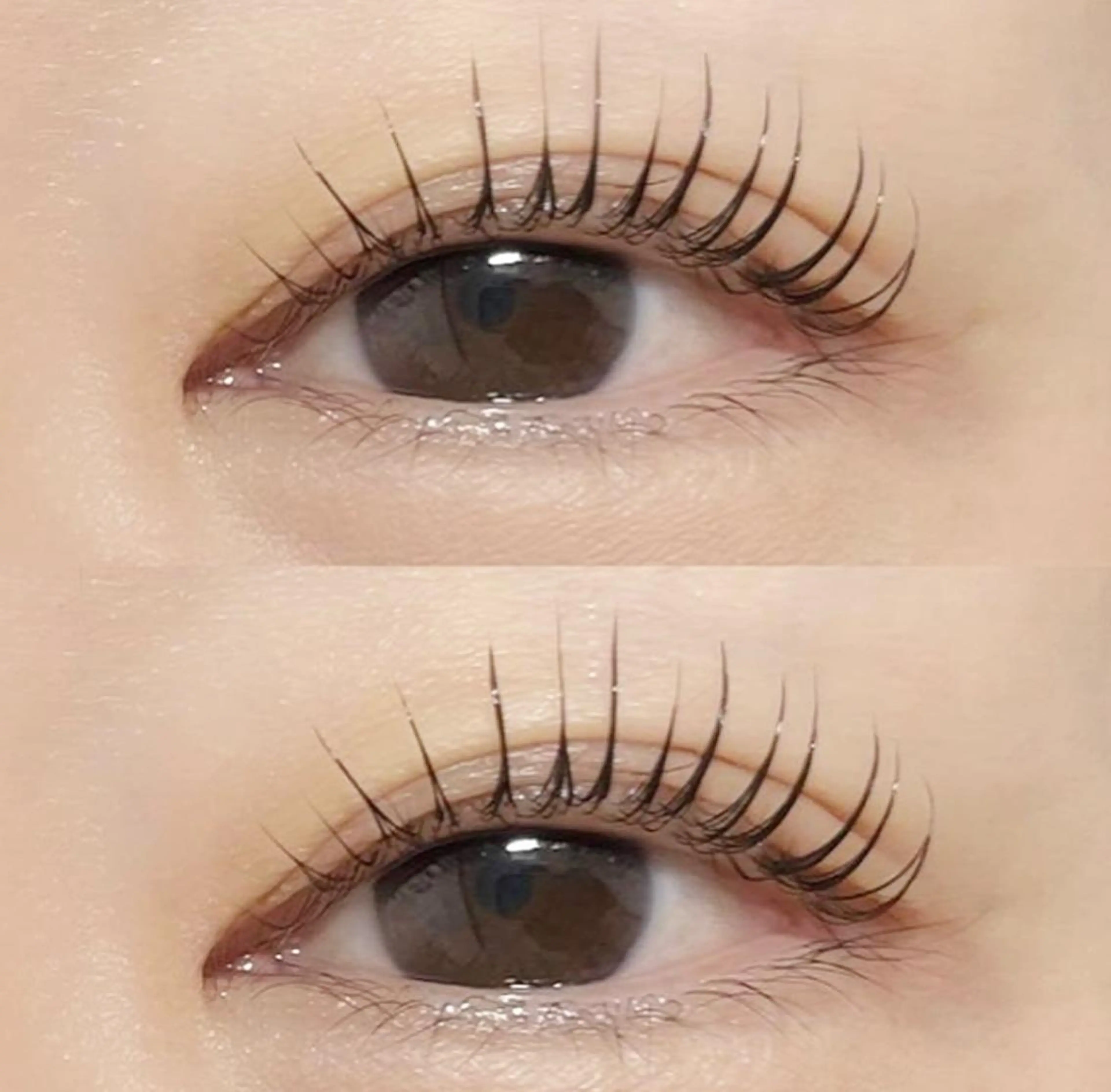 パリジェンヌラッシュリフト上下【ミニモ特別価格】の写真