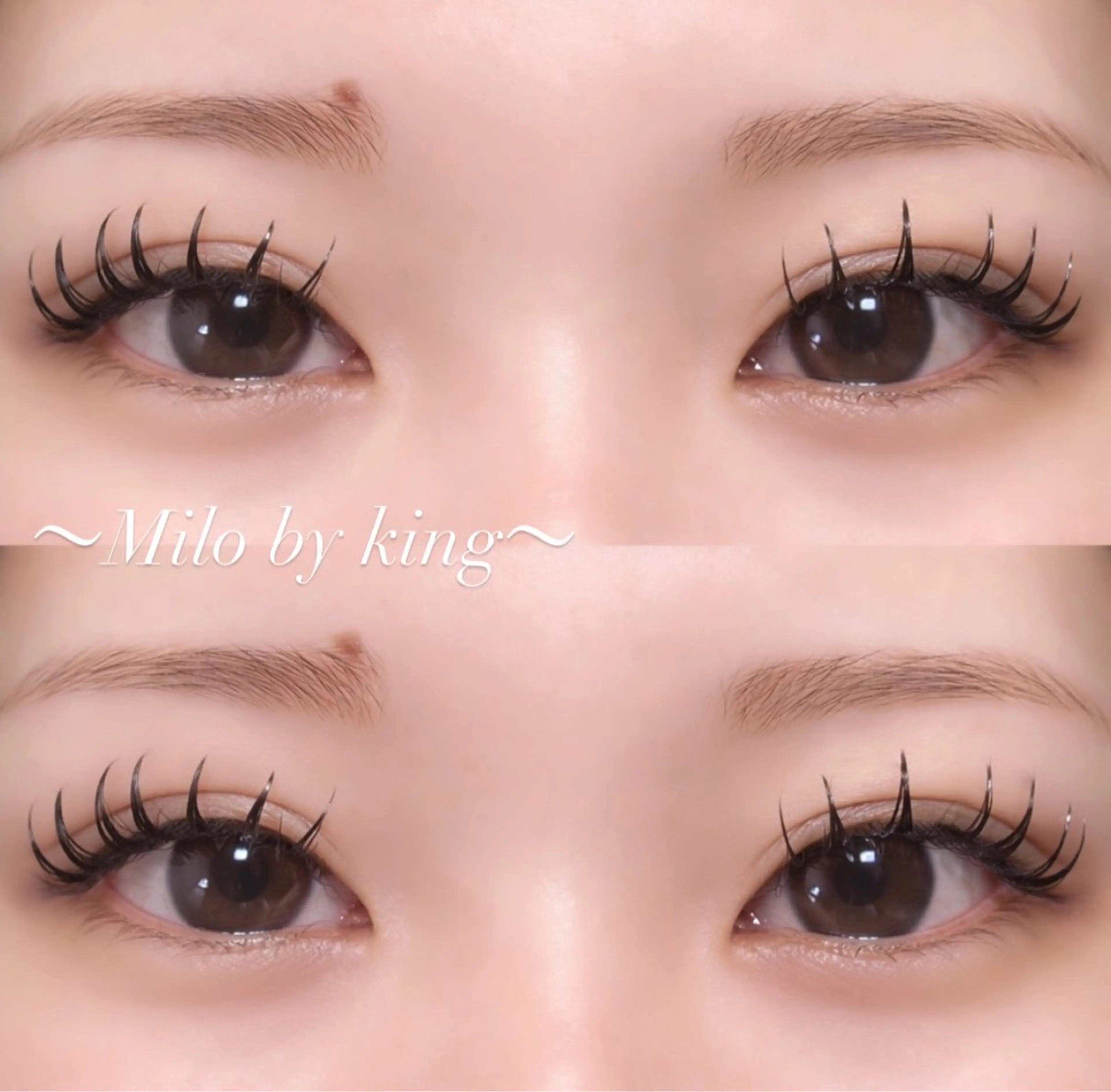 マツエク・マツパ 👑𝐊𝐢𝐧𝐠 心斎橋MIREI🌺のマツエク・マツパデザイン