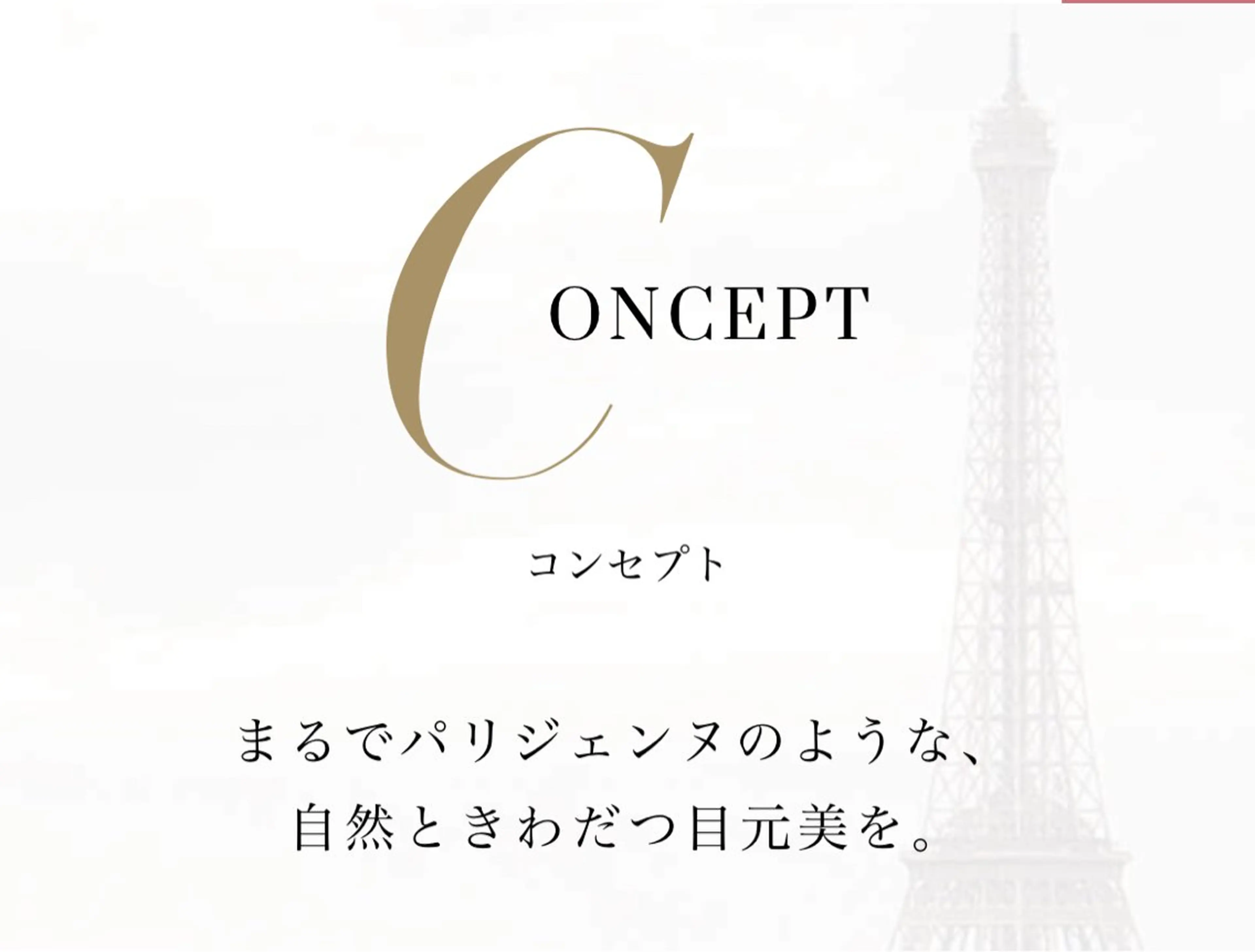 マツエク・マツパ Rich Nailのマツエク・マツパデザイン