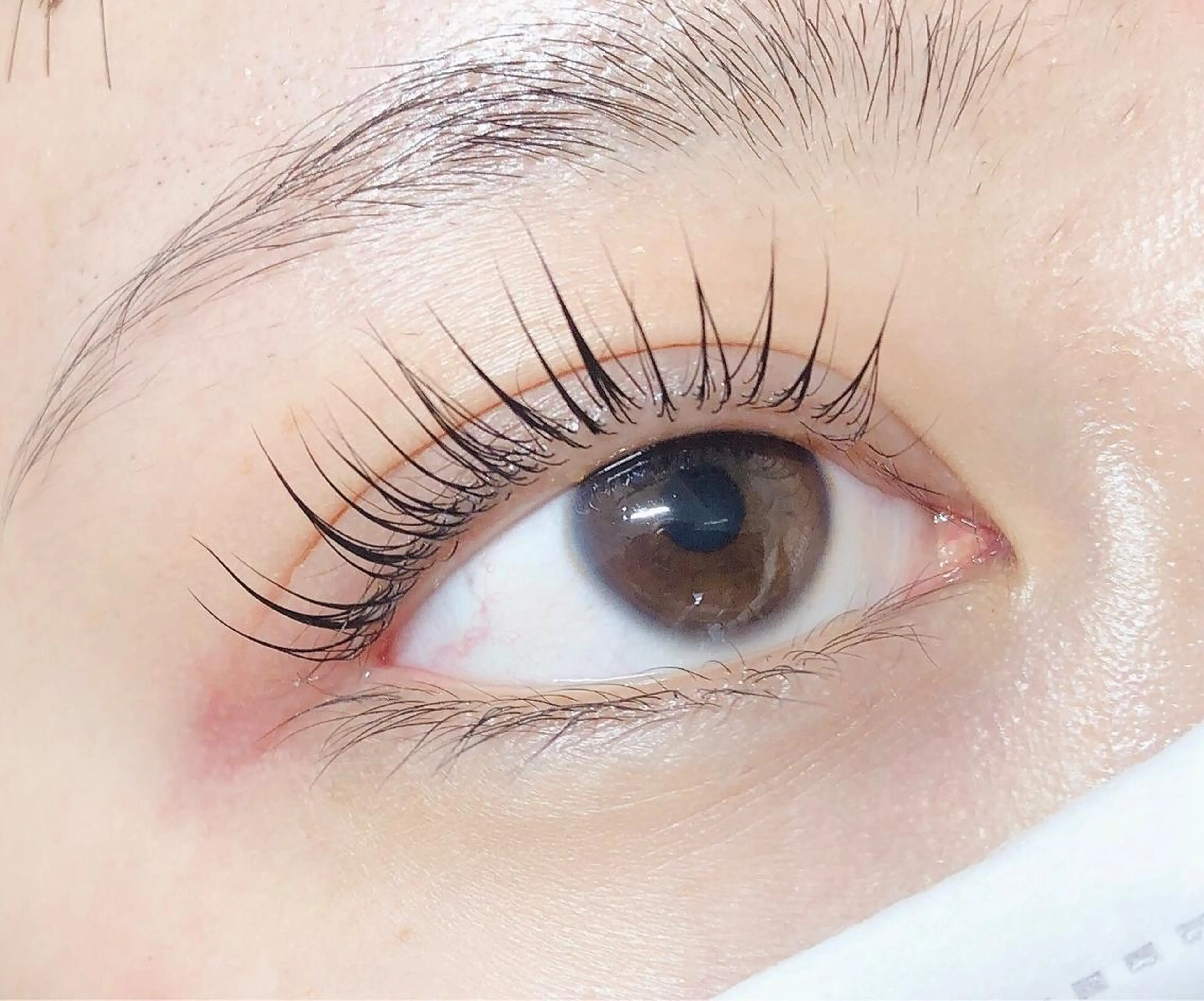 マツエク・マツパ マツパ kijico 志木駅のマツエク・マツパデザイン