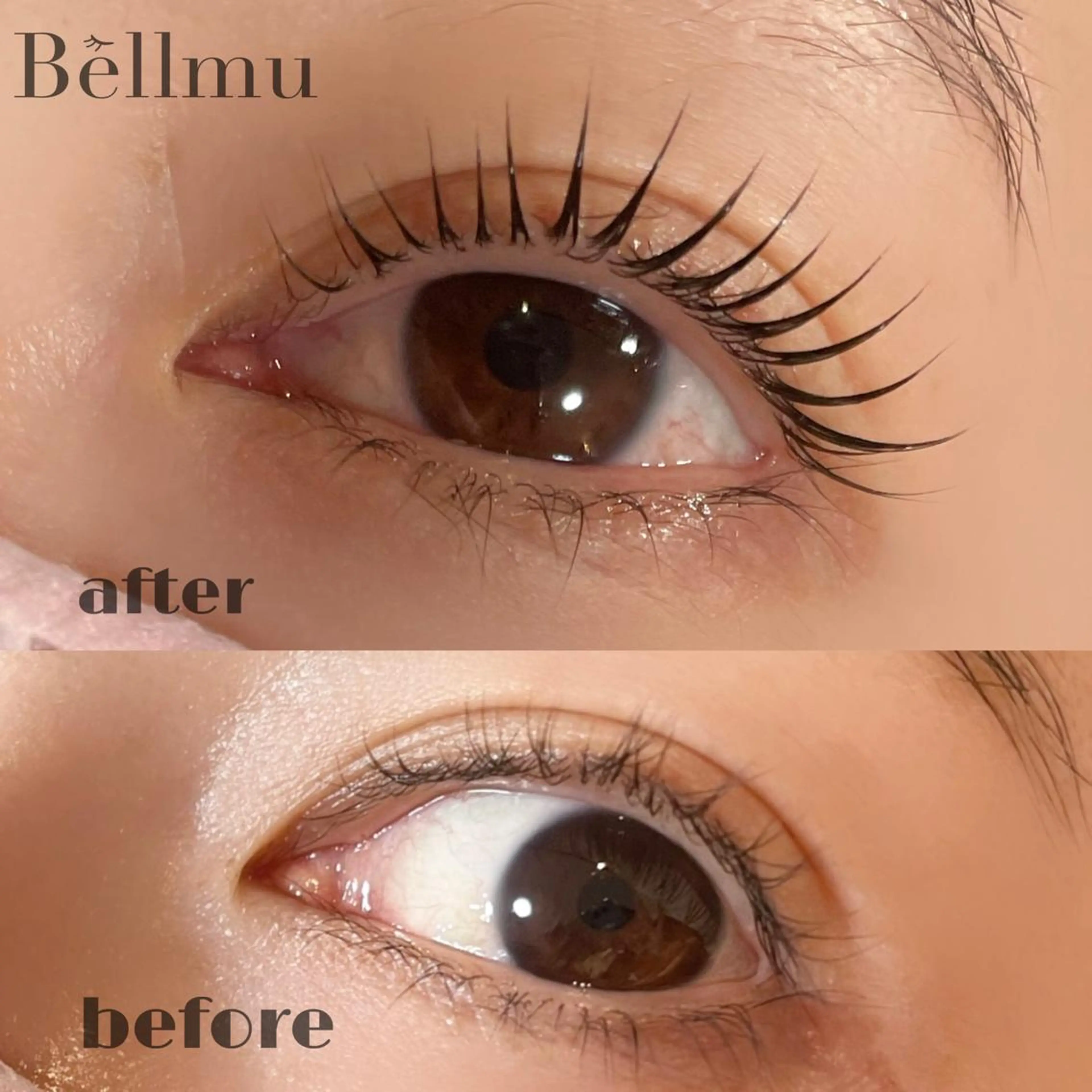 マツエク・マツパ 💈Bèllmu/ なんば/心斎橋❣️のマツエク・マツパデザイン