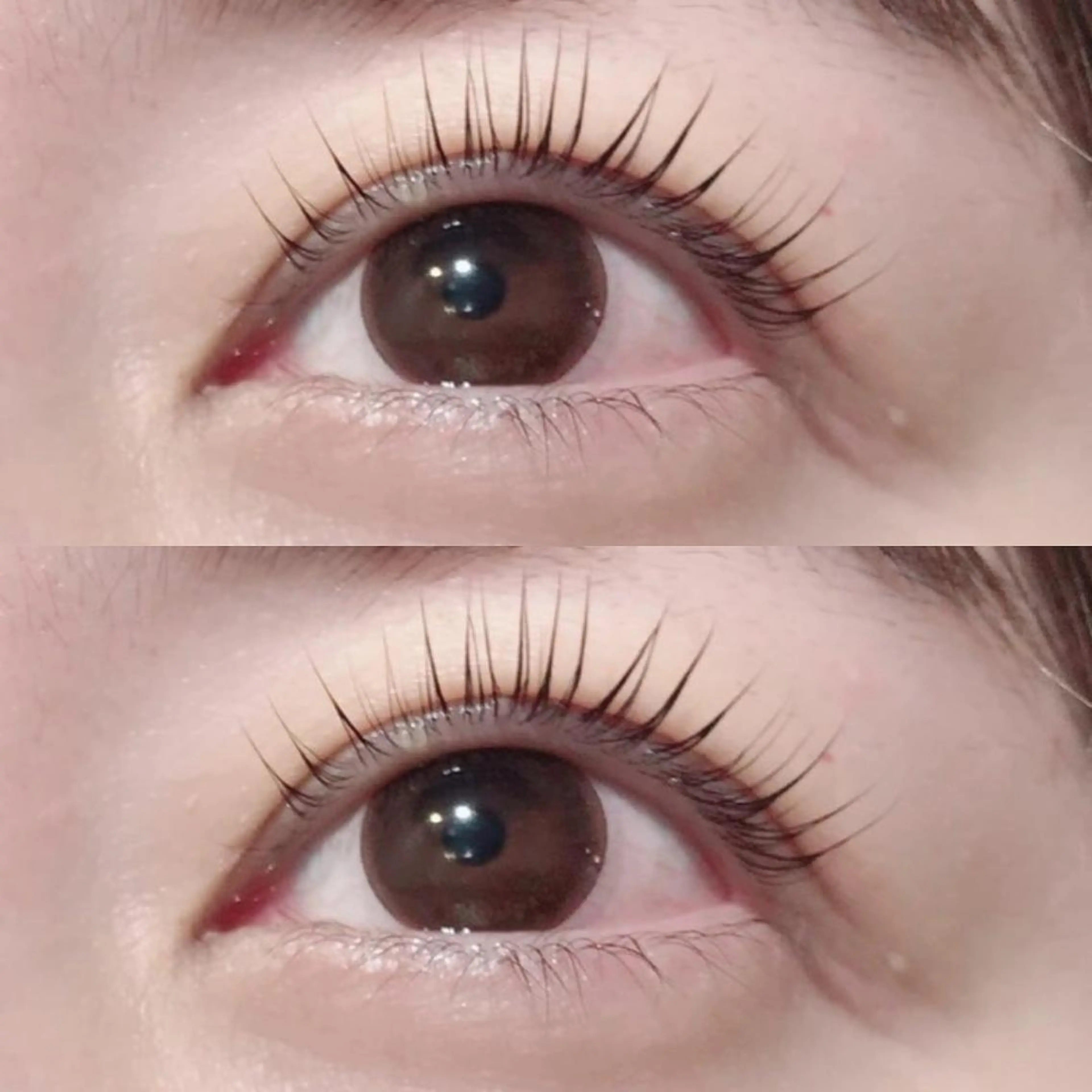 マツエク・マツパ フラットラッシュ パリジェンヌラッシュリフト まつげパーマ 下まつげエクステ 一重×まつ毛パーマ Mon mignonのマツエク・マツパデザイン