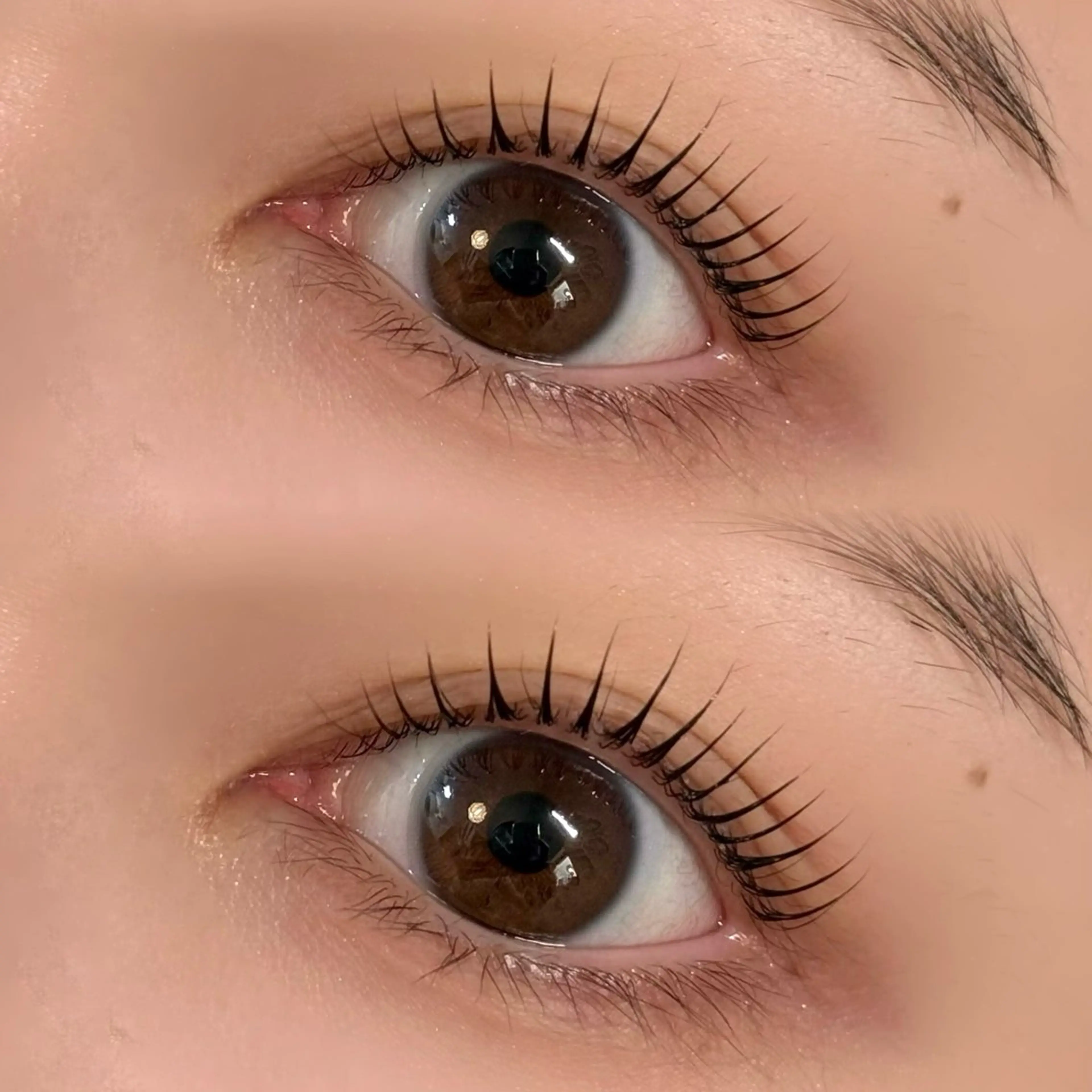 マツエク・マツパ 束感まつ毛 韓国風マツエク パリジェンヌラッシュリフト まつげパーマ 一重×まつ毛パーマ マツパ téa. reina/表参道のマツエク・マツパデザイン