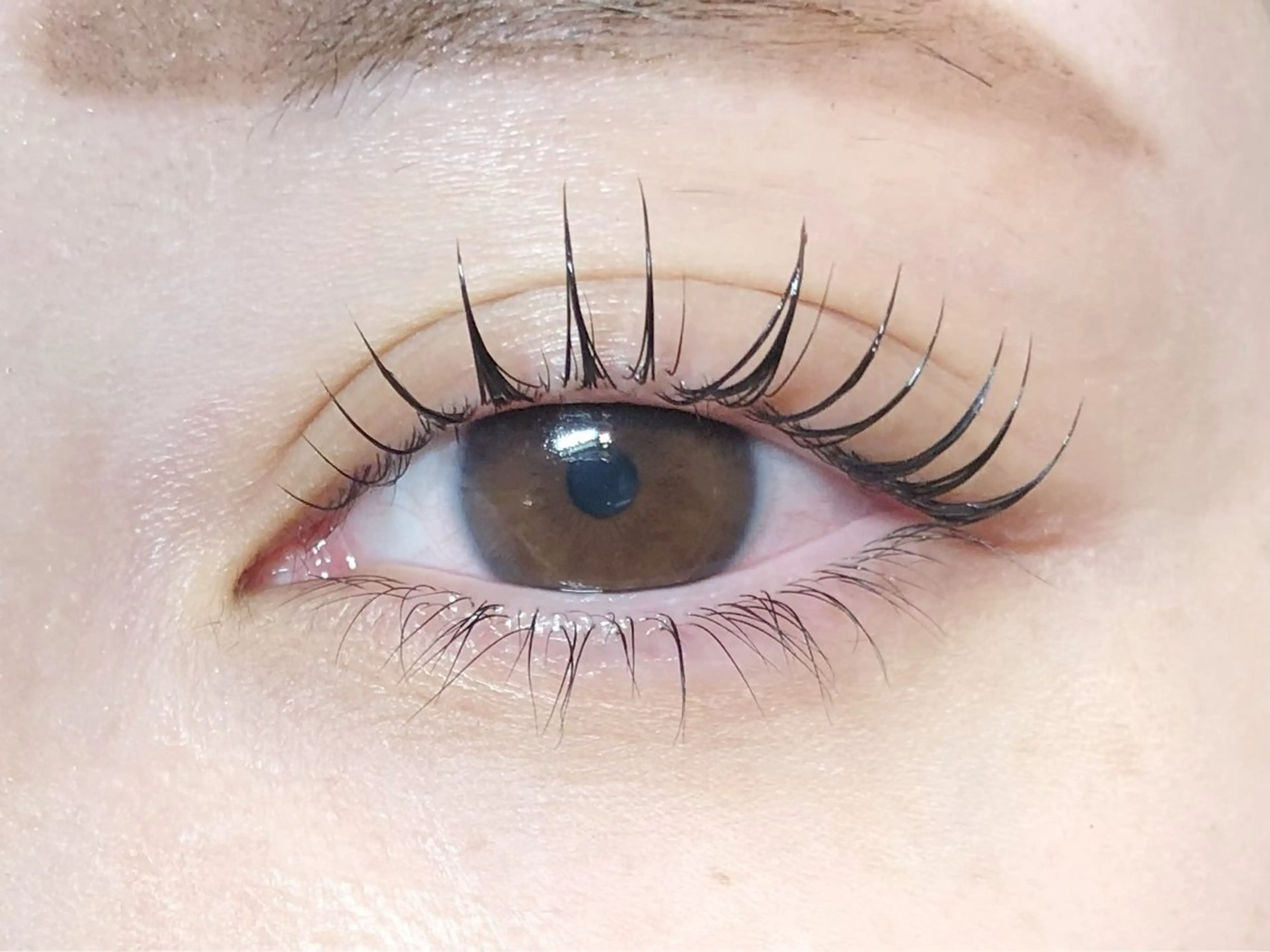 マツエク・マツパ 𝙝𝙞𝙣𝙖 ♡の眉毛・アイブロウイメージ