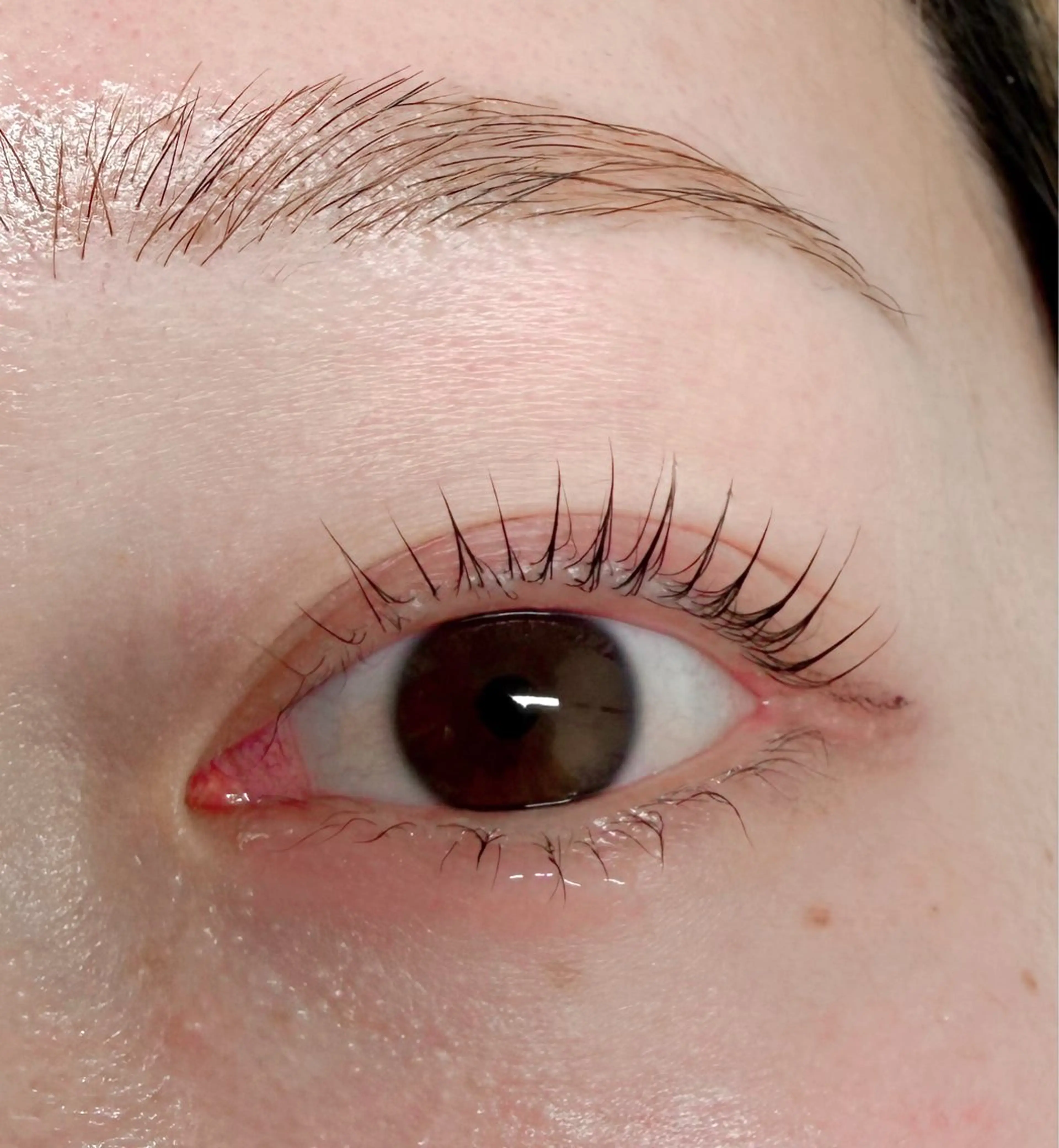 マツエク・マツパ マツパ 杉野 まみのマツエク・マツパデザイン