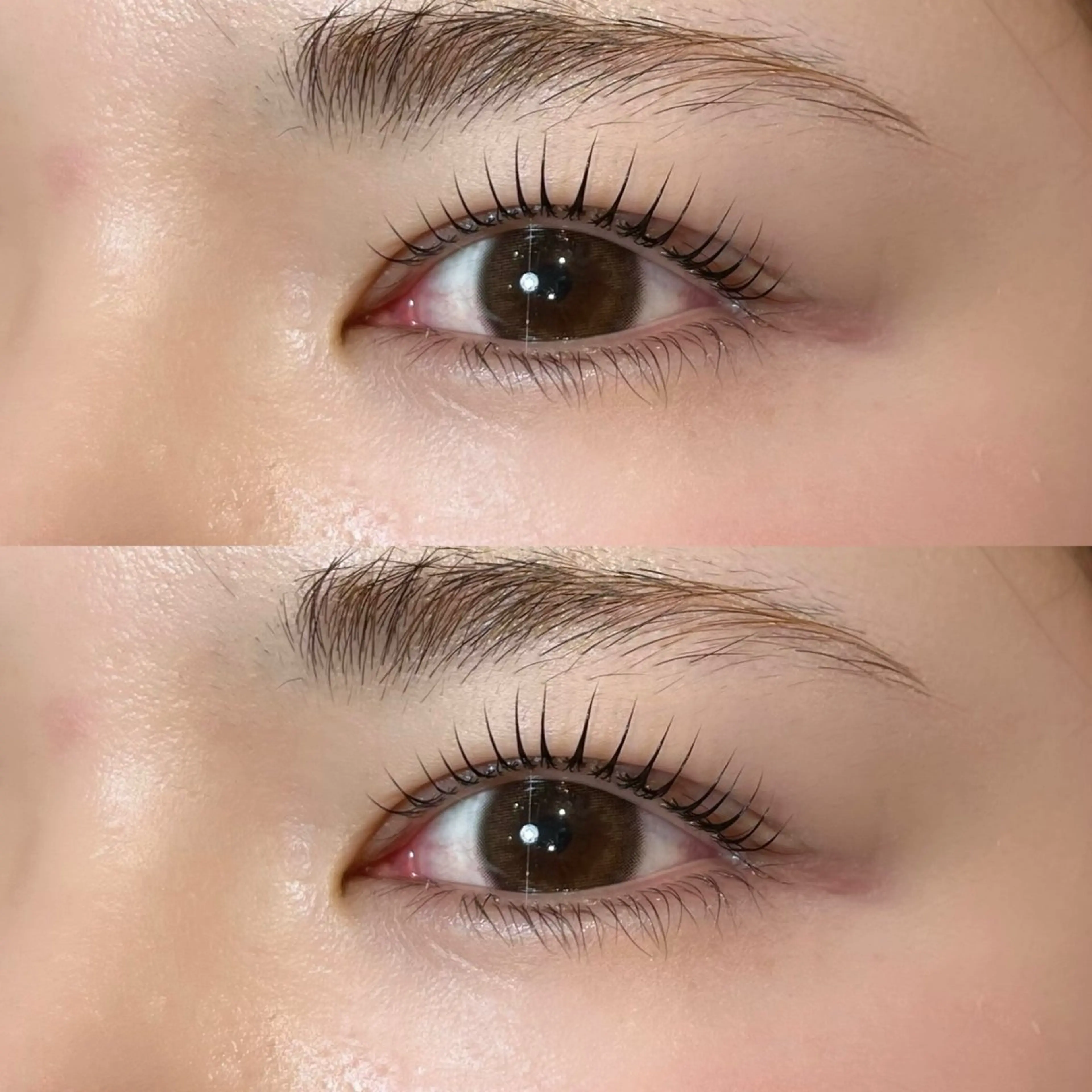 マツエク・マツパ 𝒆𝒊𝒈𝒉𝒕 杏花のマツエク・マツパデザイン