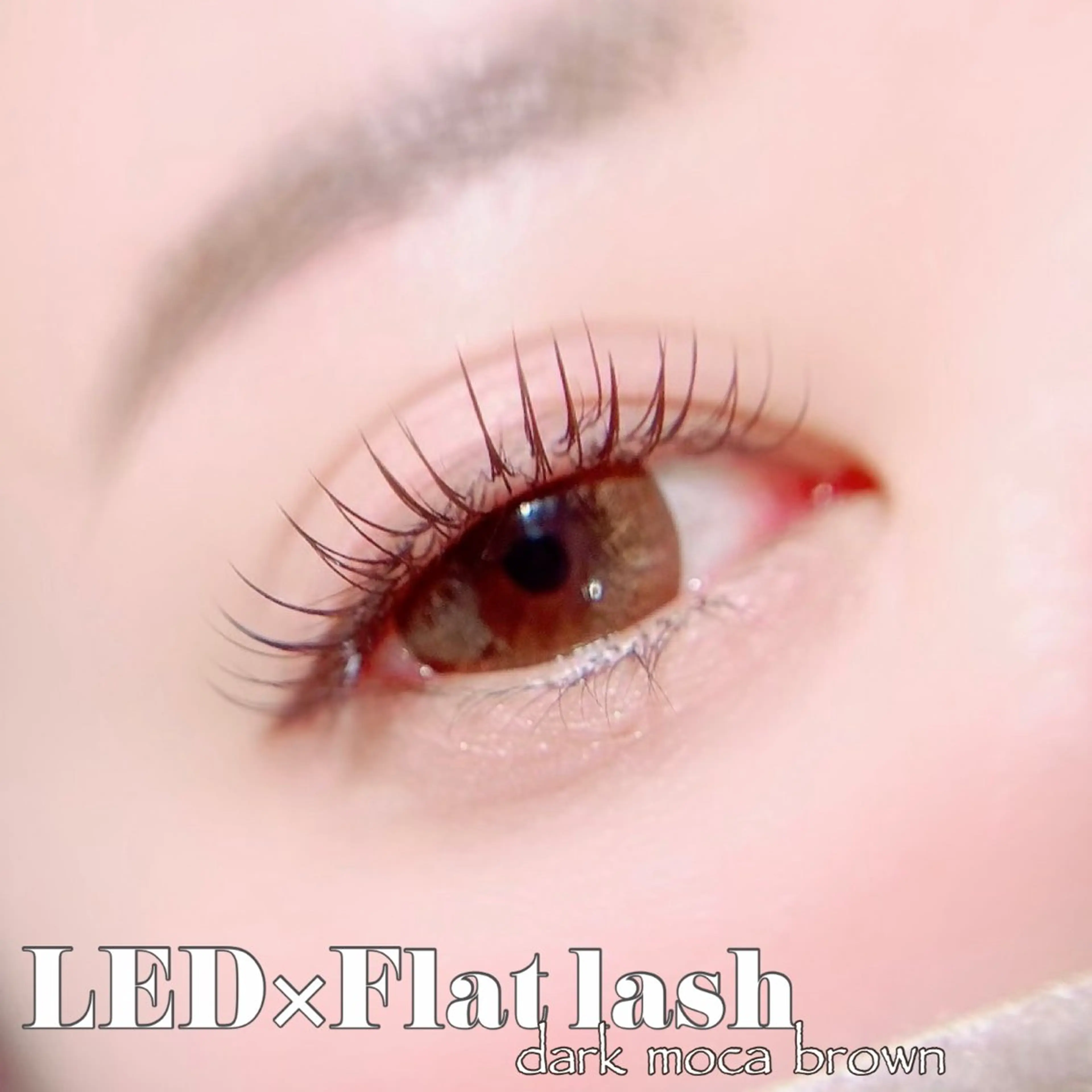 マツエク・マツパ マツエク Mimie【ﾐﾐｨ】 韓国風まつ毛🎀のマツエク・マツパデザイン