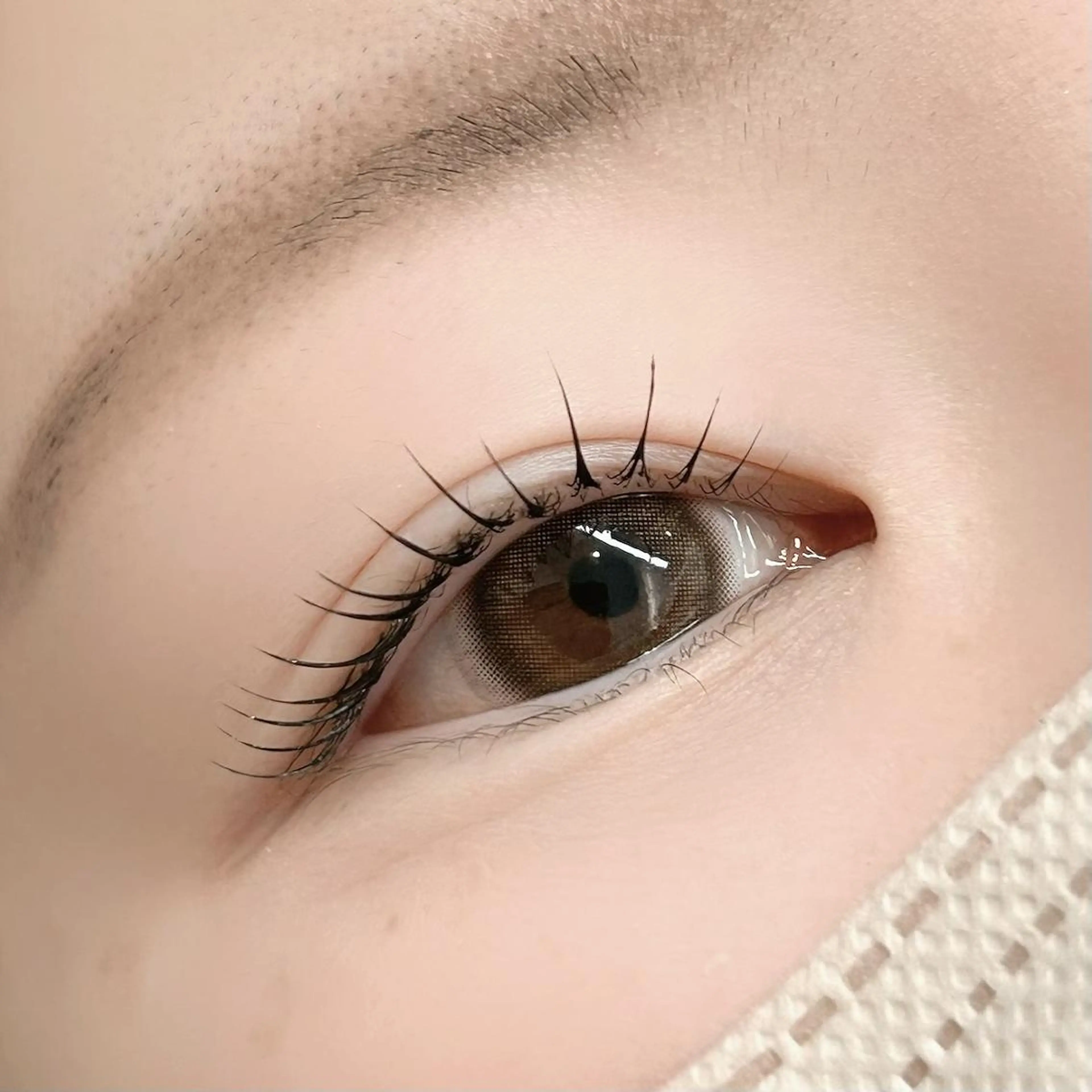 マツエク・マツパ マツパ lieu pré eyelashの眉毛・アイブロウイメージ