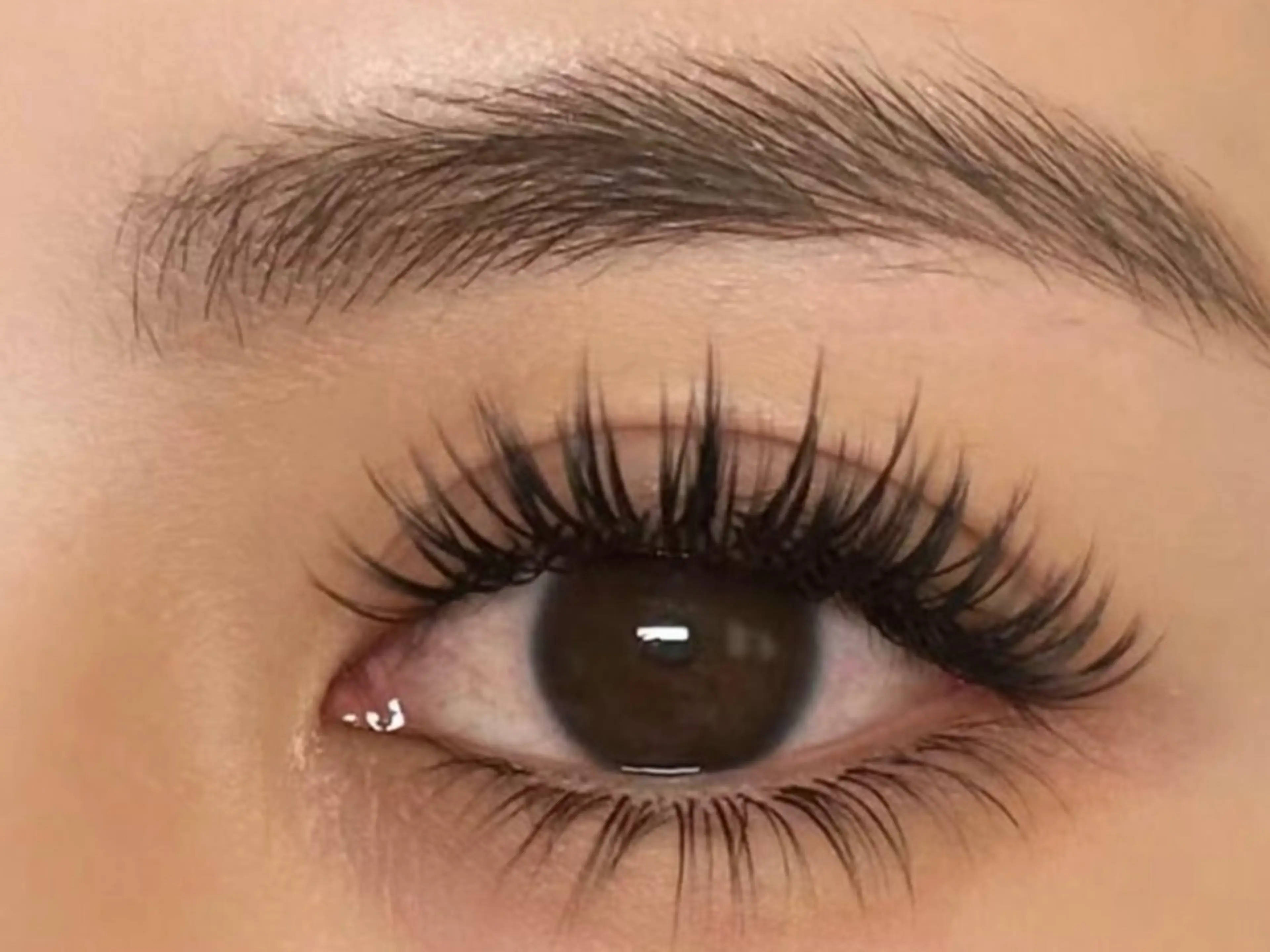 LED無料🌹超極細&超軽量ボリュームラッシュつけ放題🌹アイシャンプー・コーティング付の写真