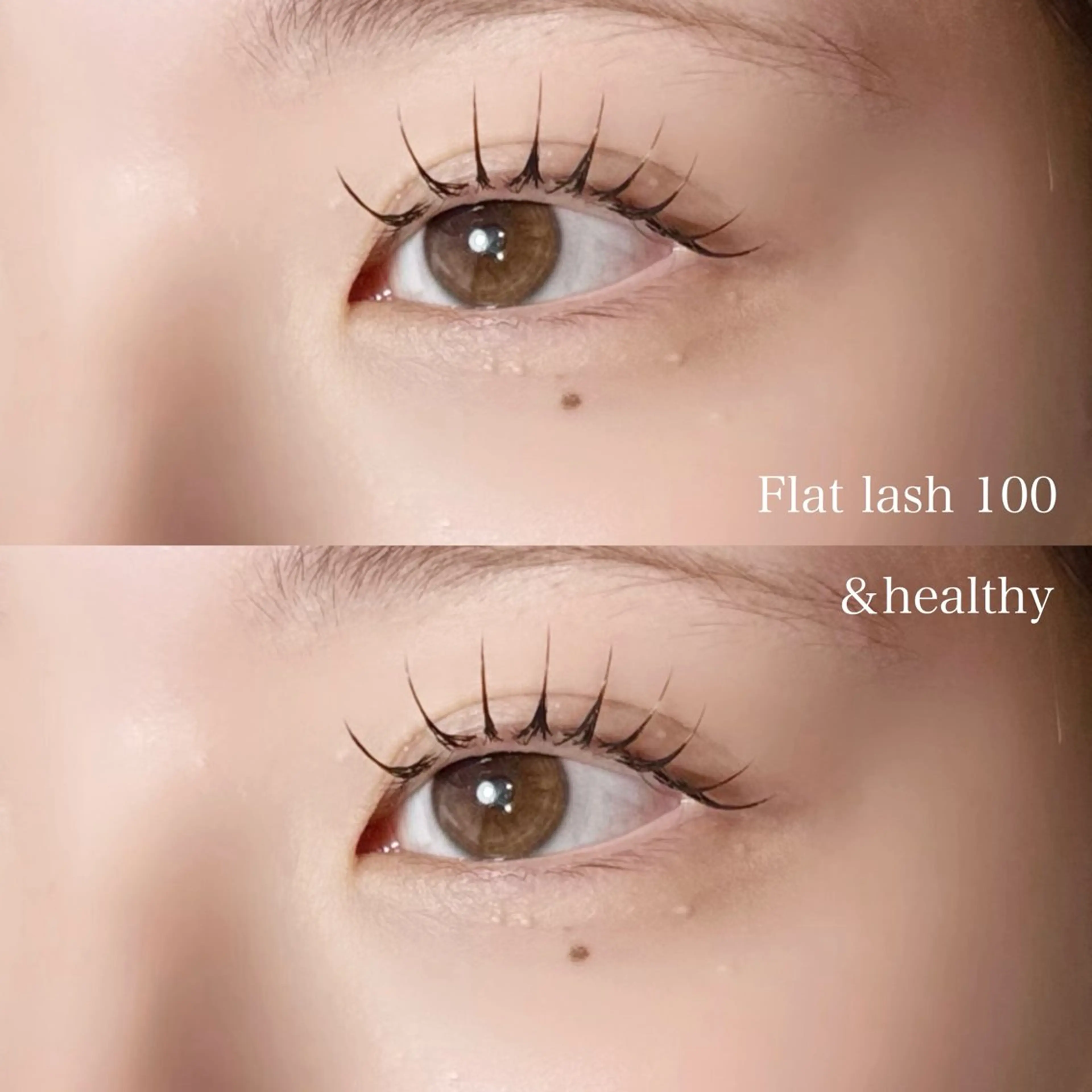 マツエク・マツパ フラットラッシュ マツエク Stella 石井のマツエク・マツパデザイン