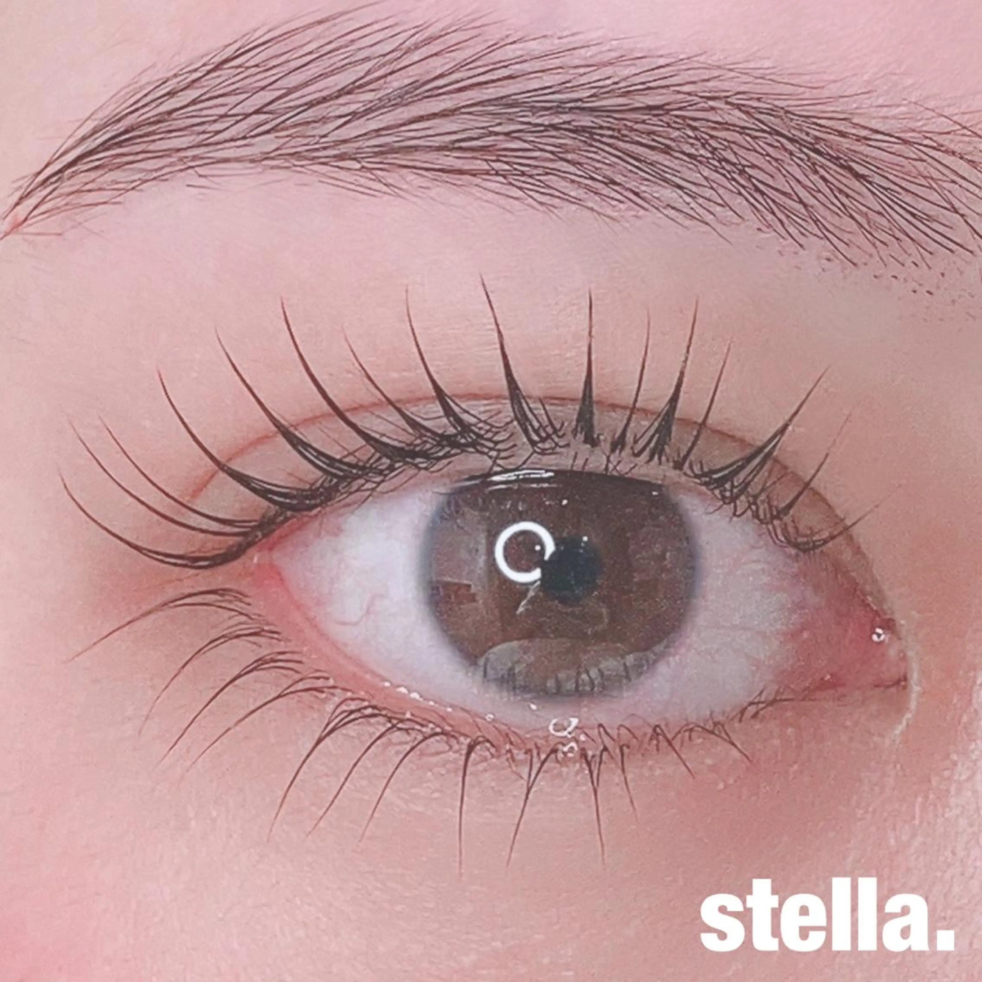 マツエク・マツパ 下まつげエクステ 一重×まつ毛パーマ マツパ Stella eyelashのマツエク・マツパデザイン