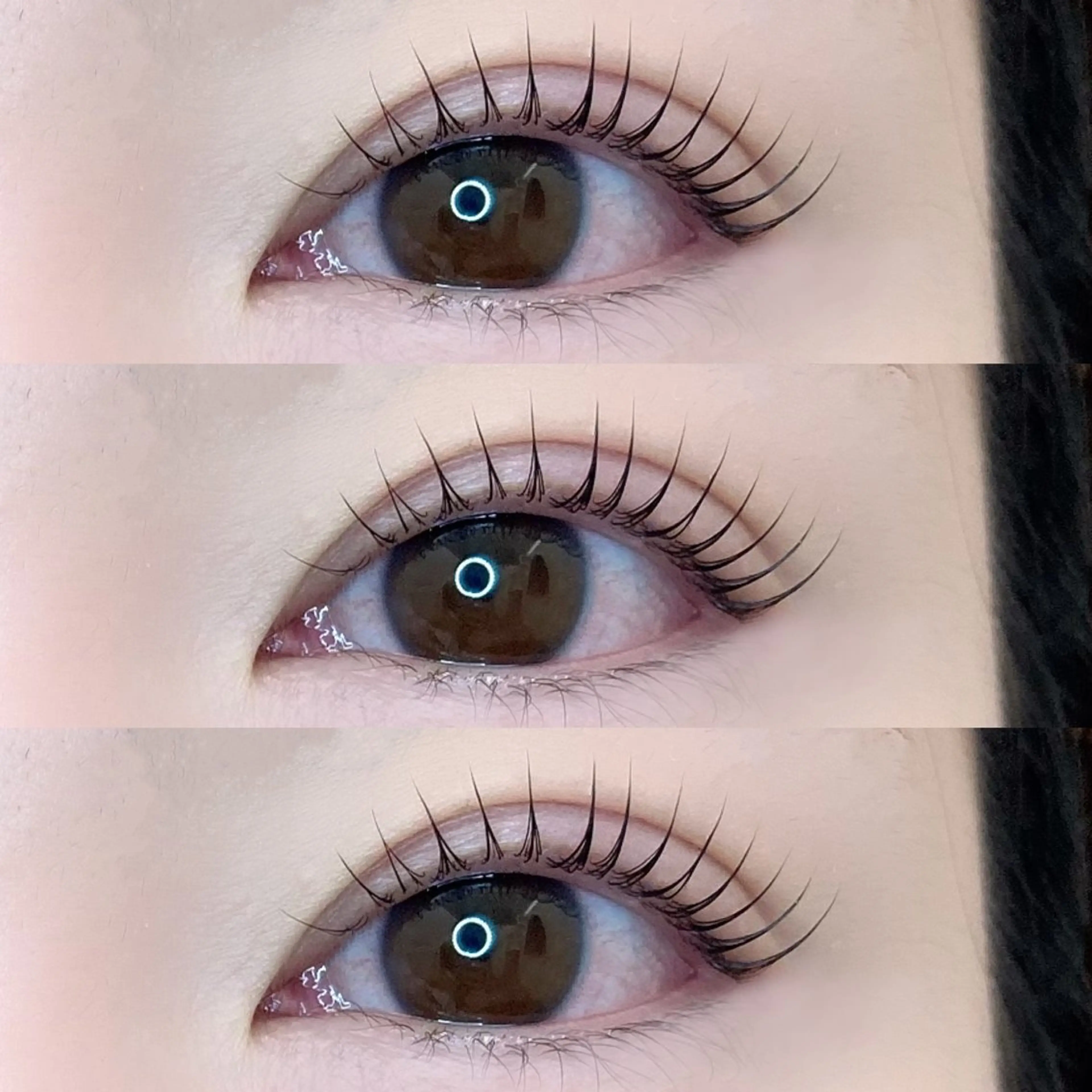 当日限定⭐️パリジェンヌラッシュリフトの写真