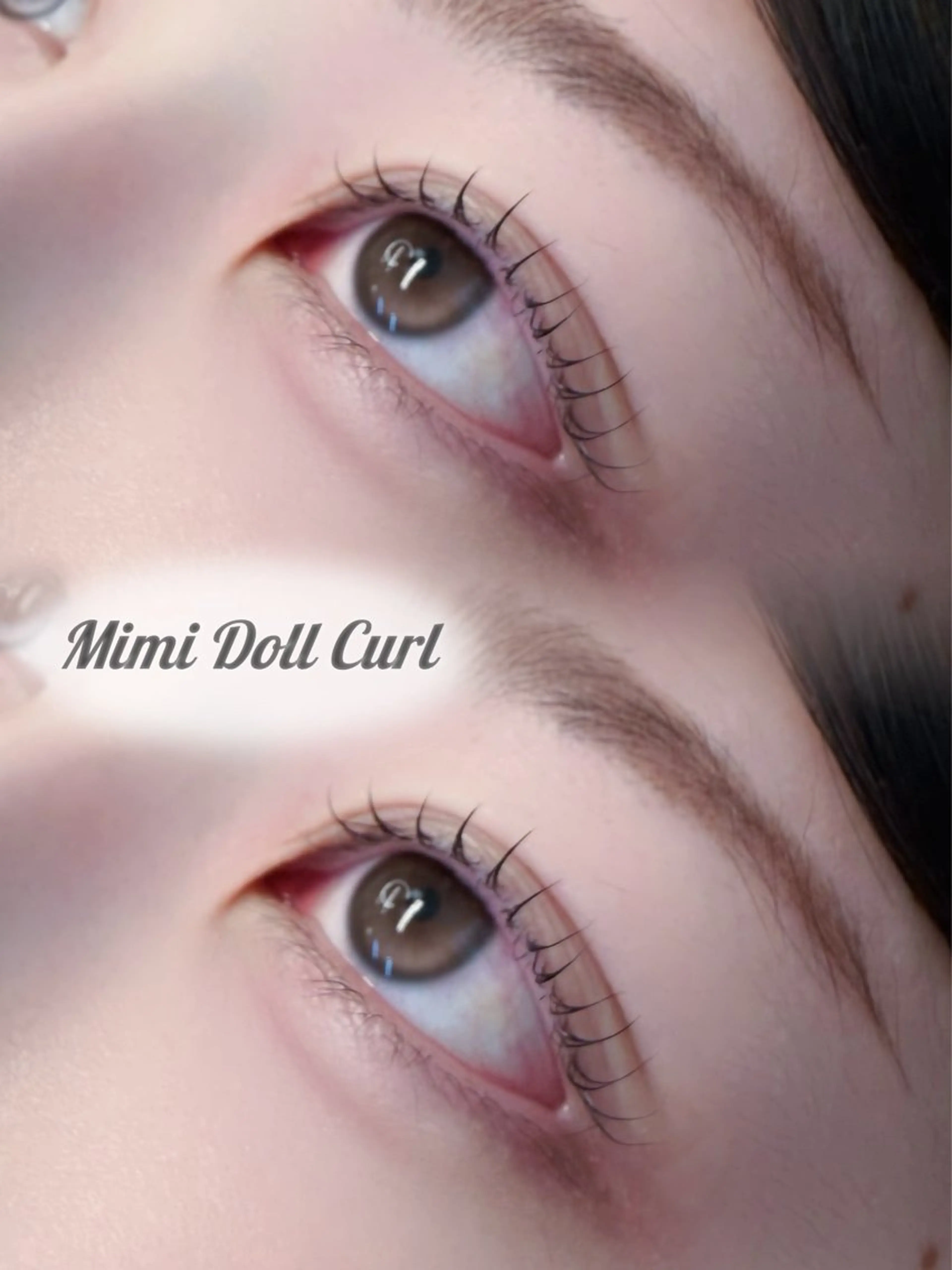 限定🫧※【まつげパーマ★立ち上げ×Cカール】ミミドール🎀✨韓国風束間感仕上げ🇰🇷🤍美容液コーティング付き🪄の写真